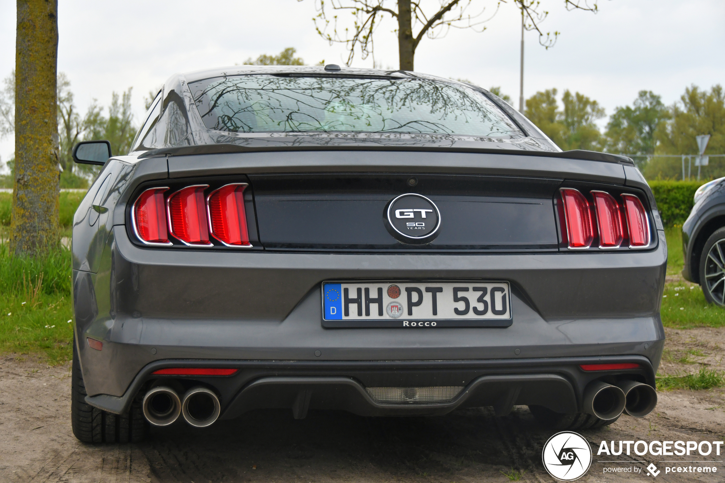 Ford Mustang GT 50th Anniversary Edition