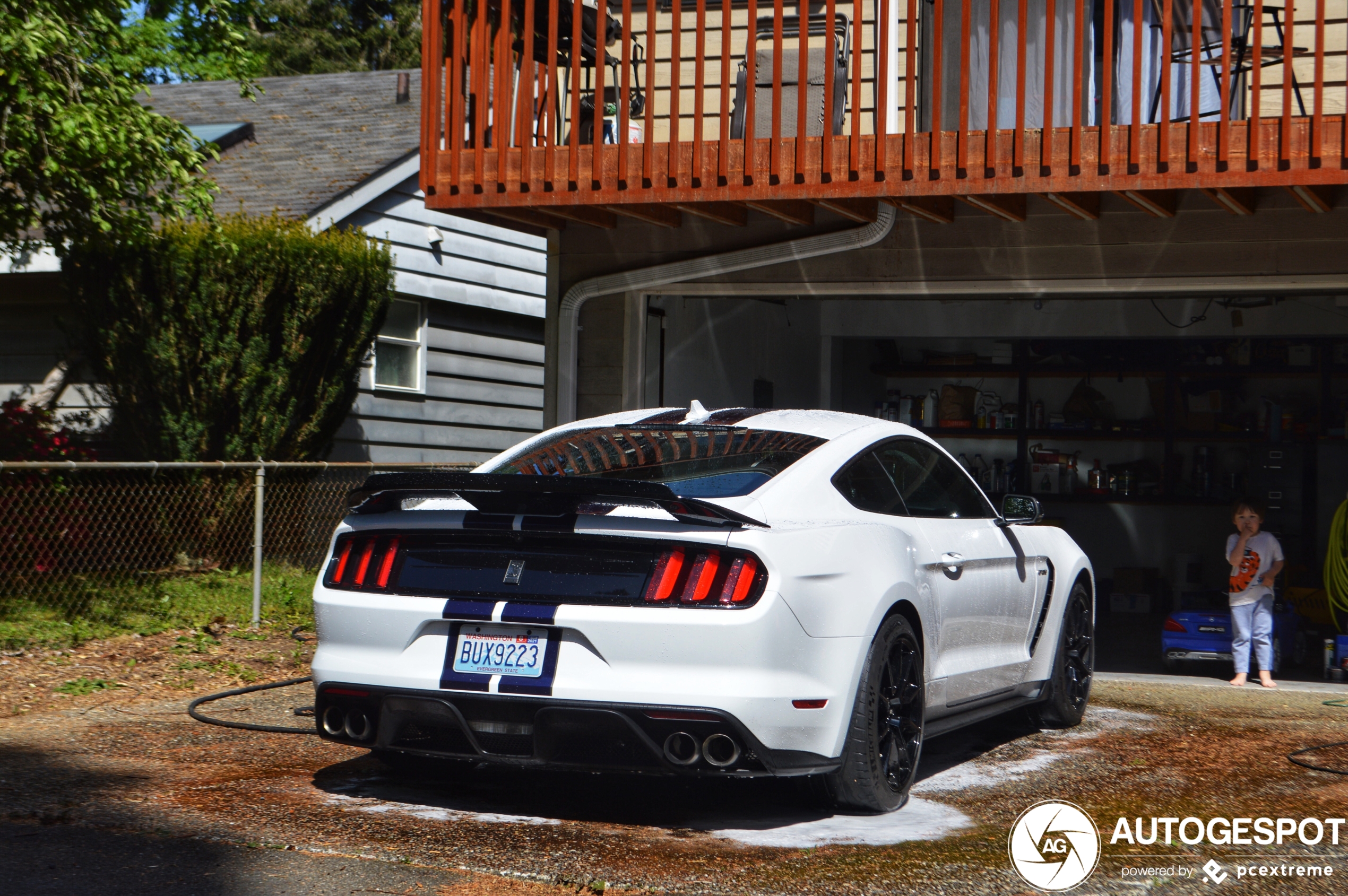 Ford Mustang Shelby GT350 2015