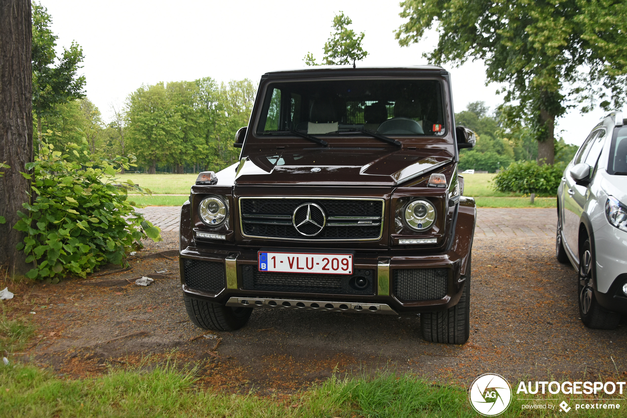 Mercedes-AMG G 63 2016 Edition 463