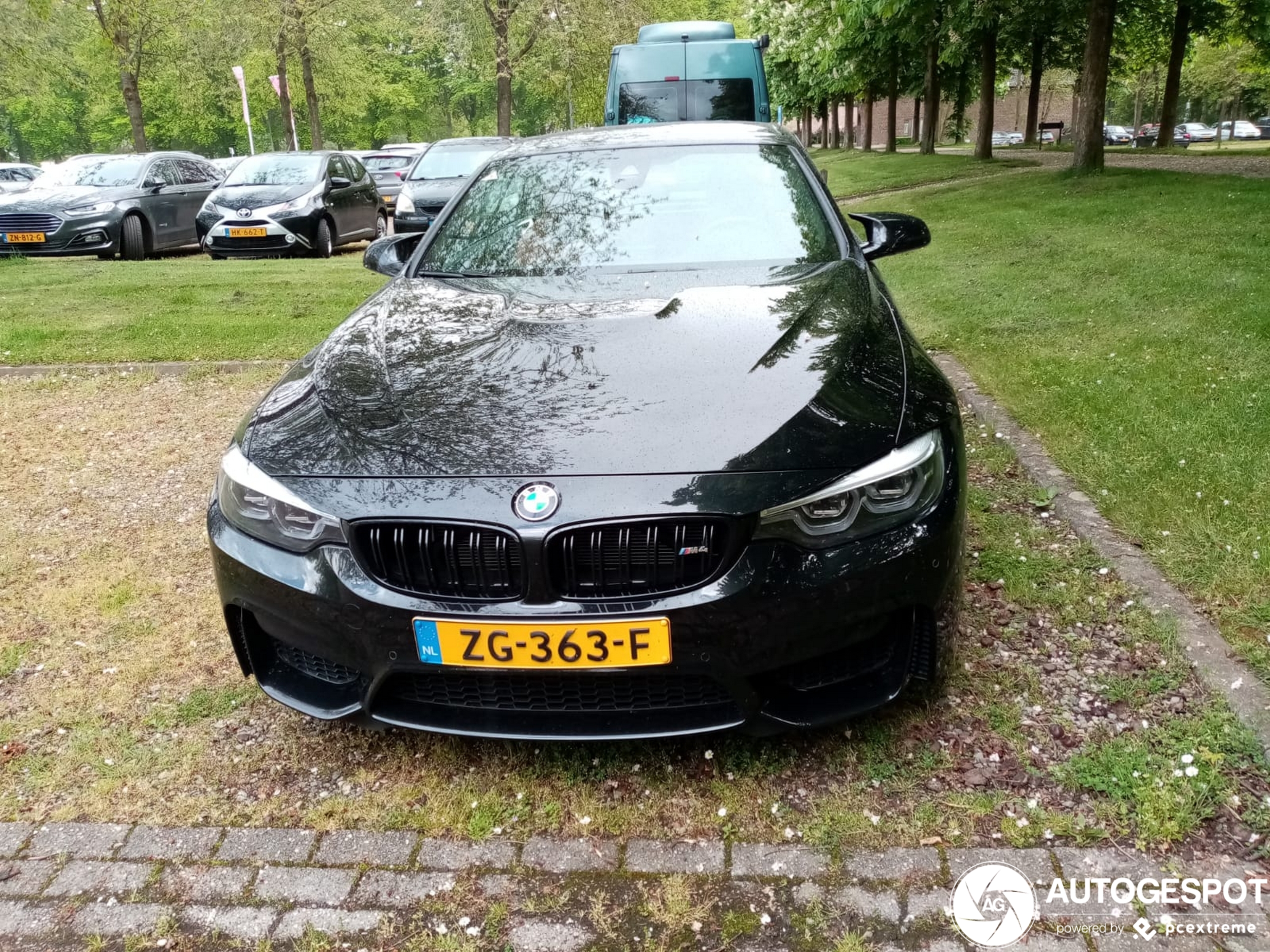 BMW M4 F83 Convertible