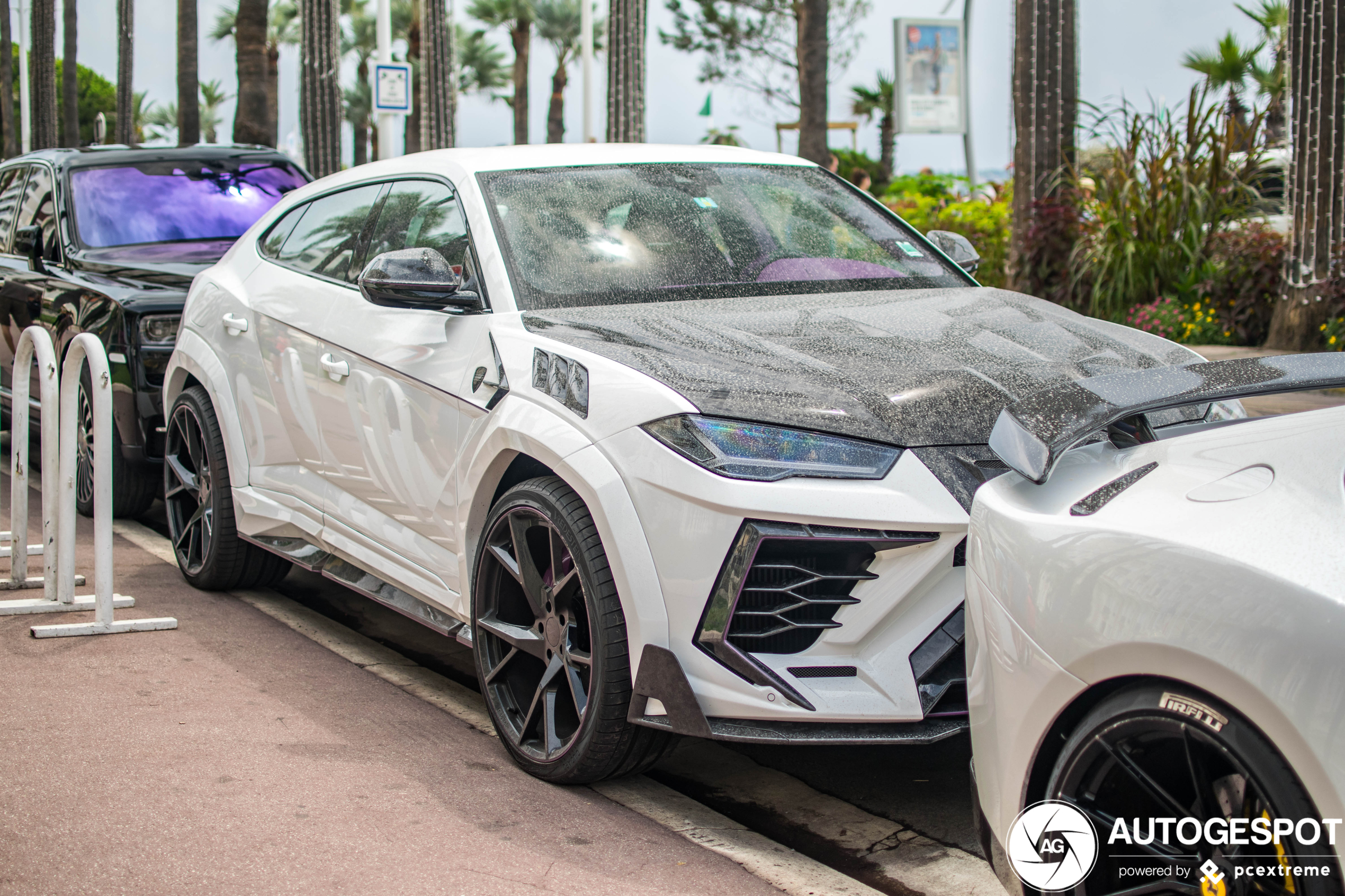 Lamborghini Urus Mansory Venatus