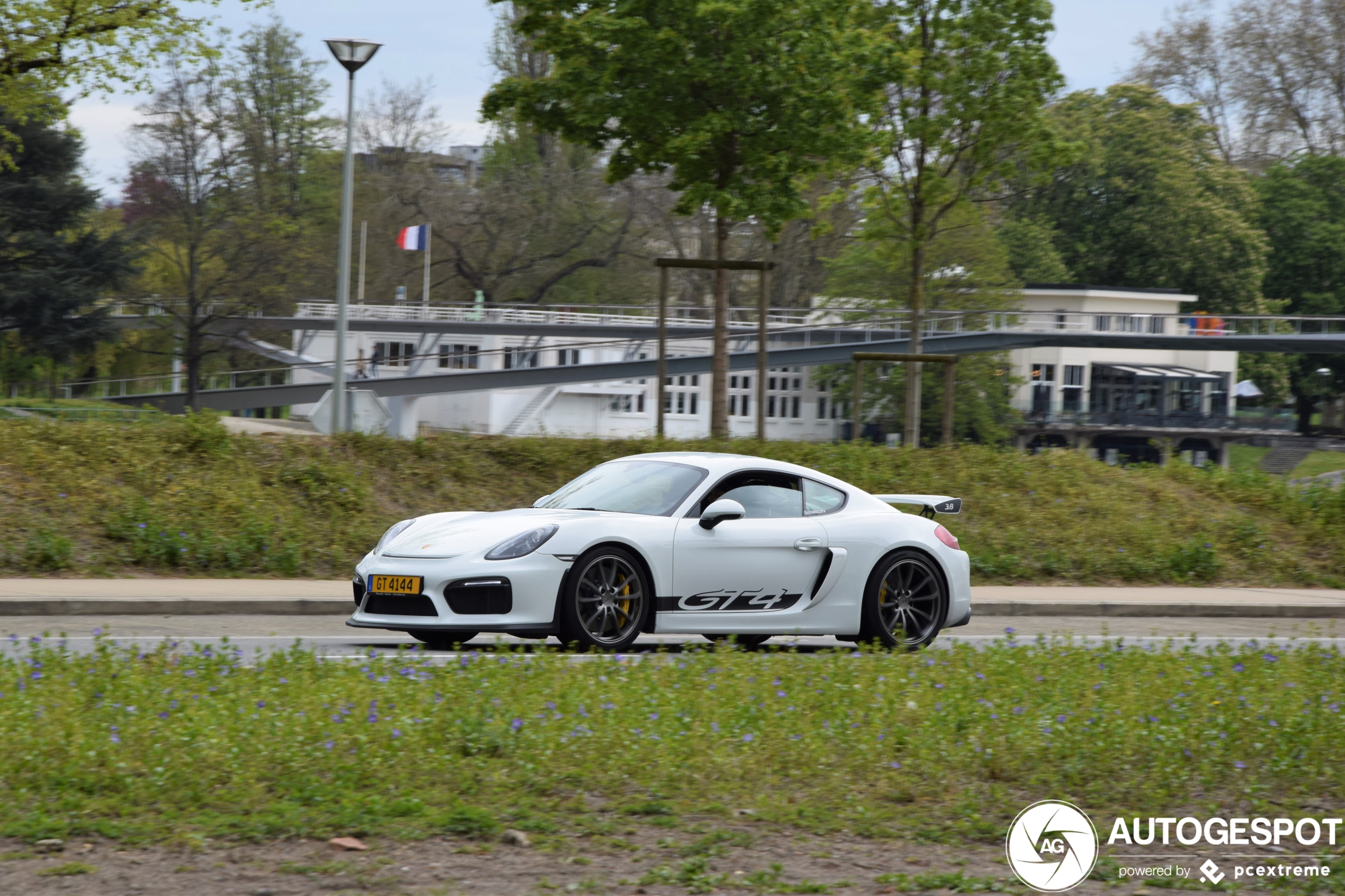 Porsche 981 Cayman GT4