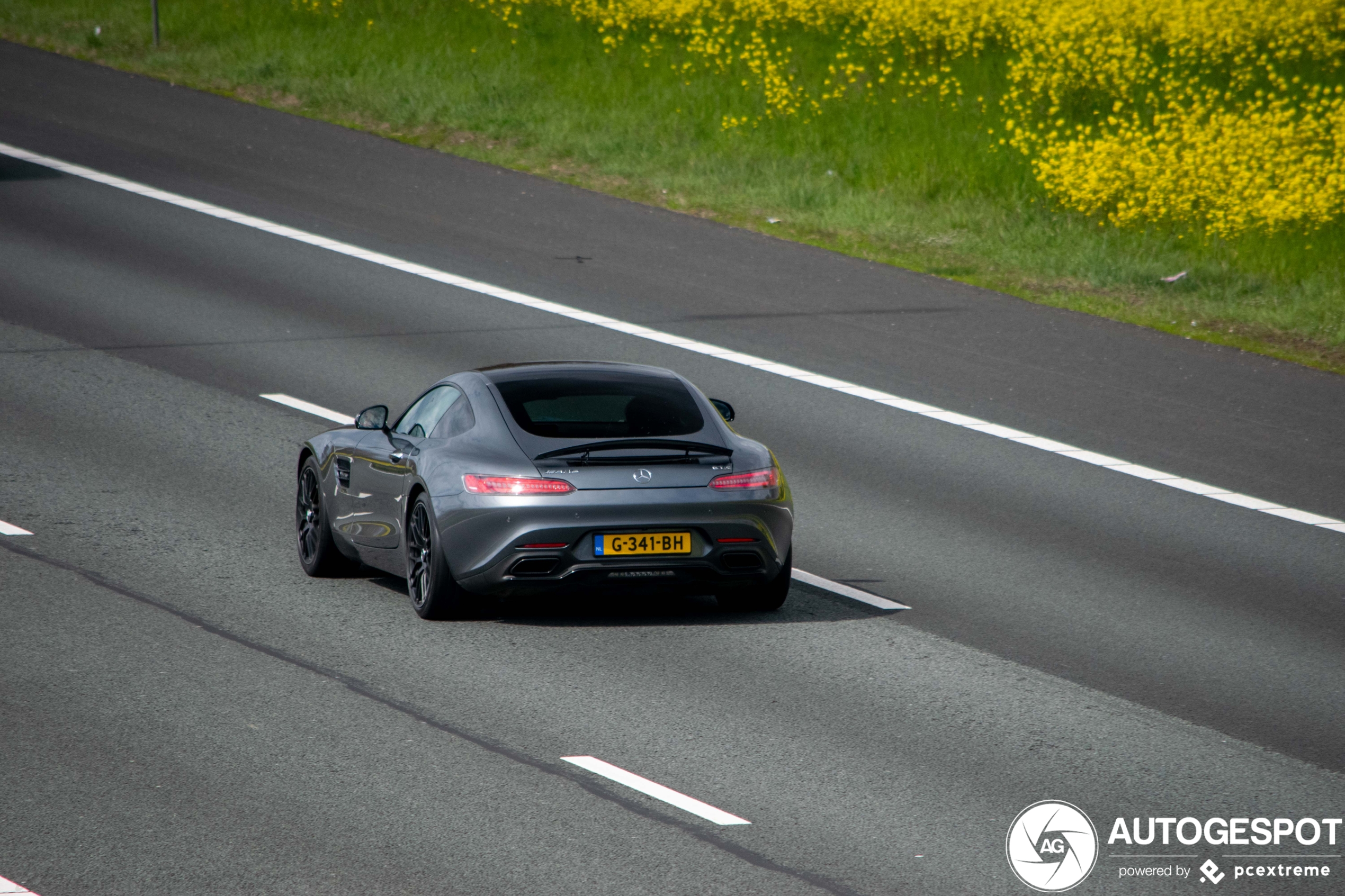 Mercedes-AMG GT S C190