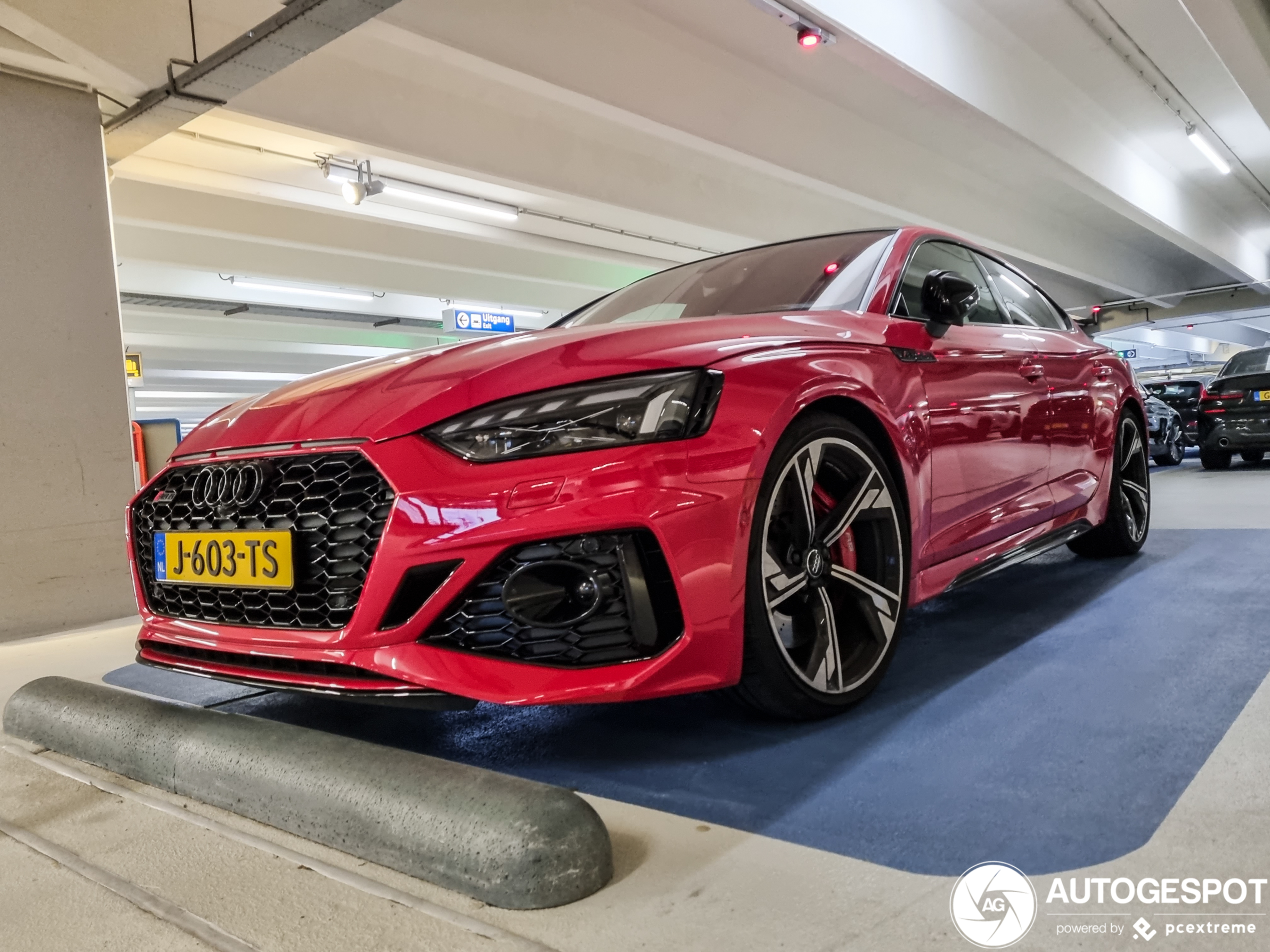 Audi RS5 Sportback B9 2021