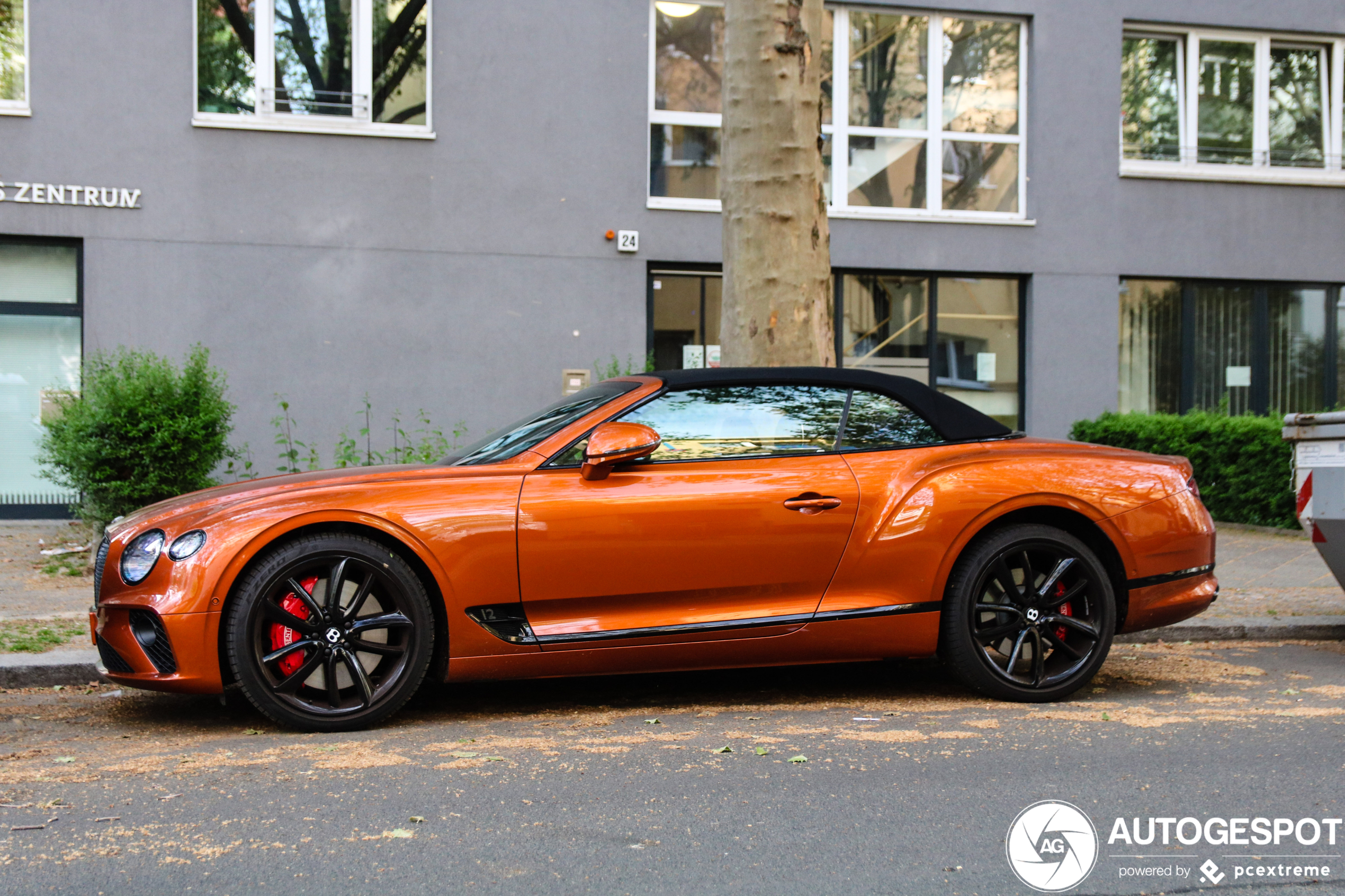 Bentley Continental GTC 2019