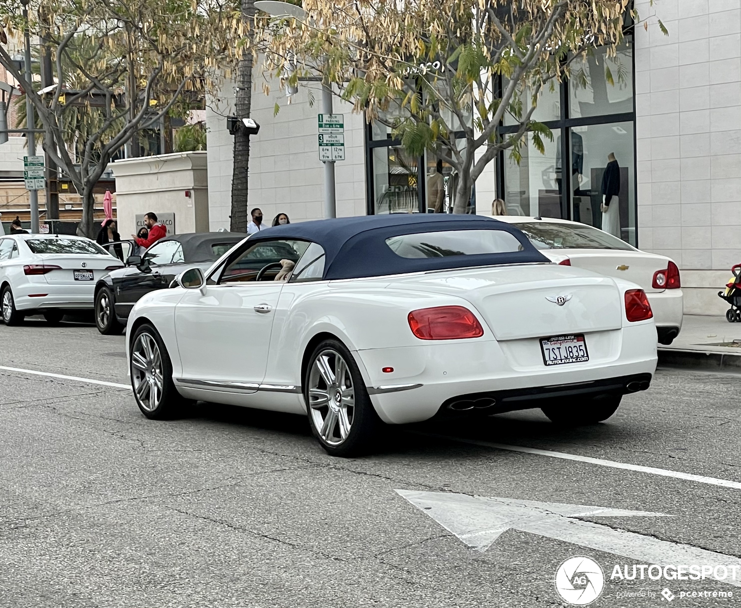 Bentley Continental GTC V8