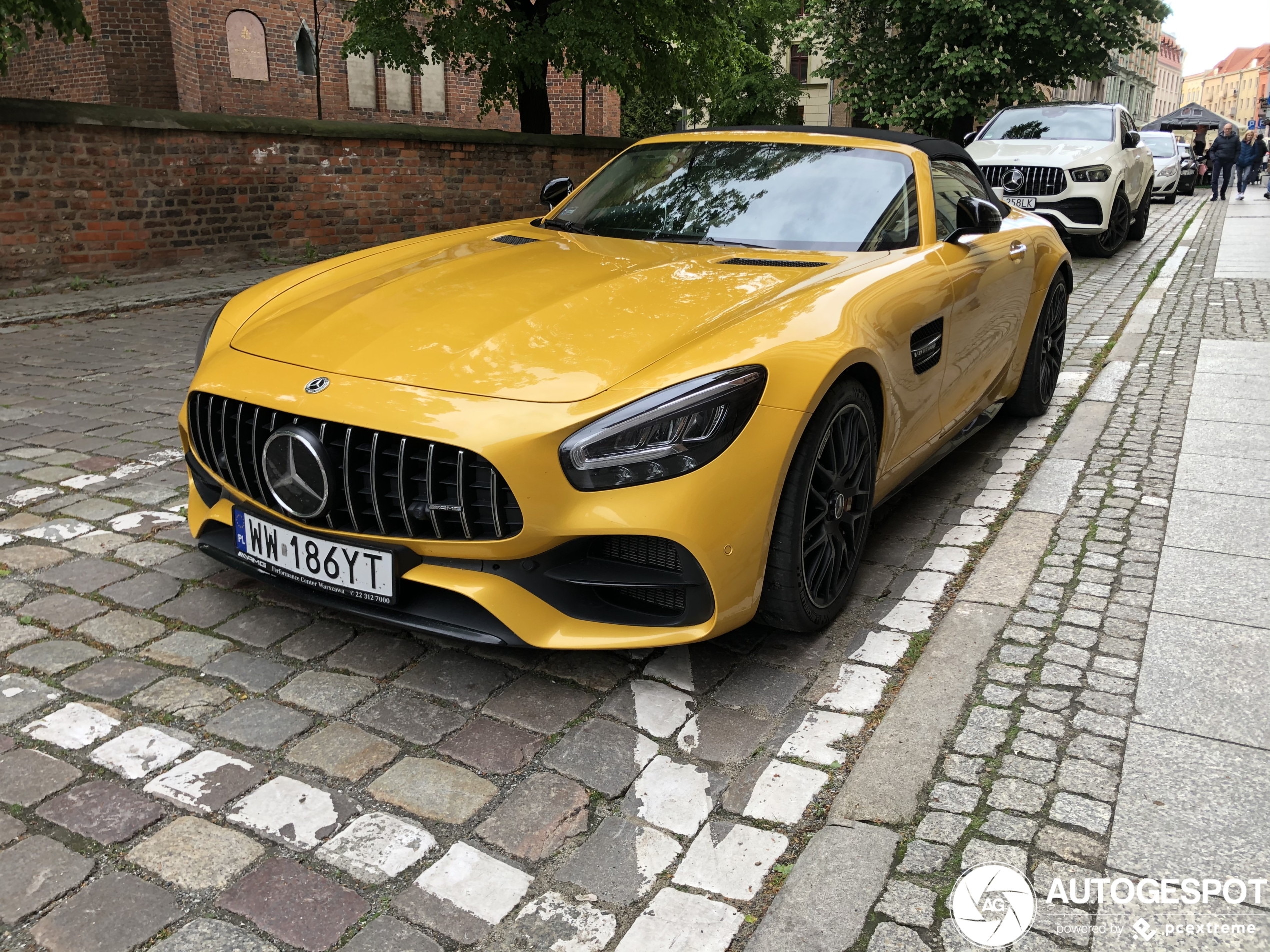 Mercedes-AMG GT C Roadster R190 2019