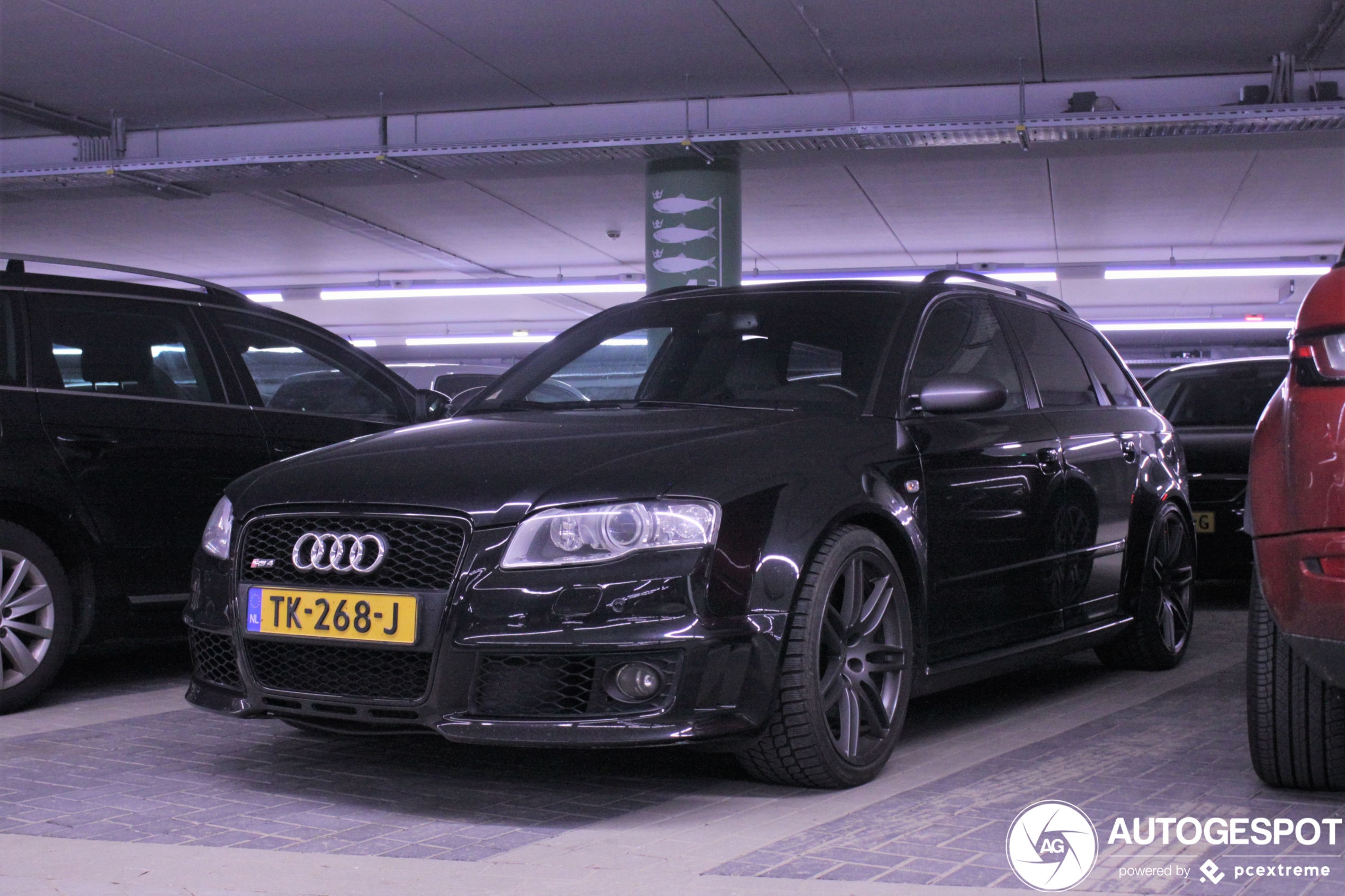 Audi RS4 Avant B7