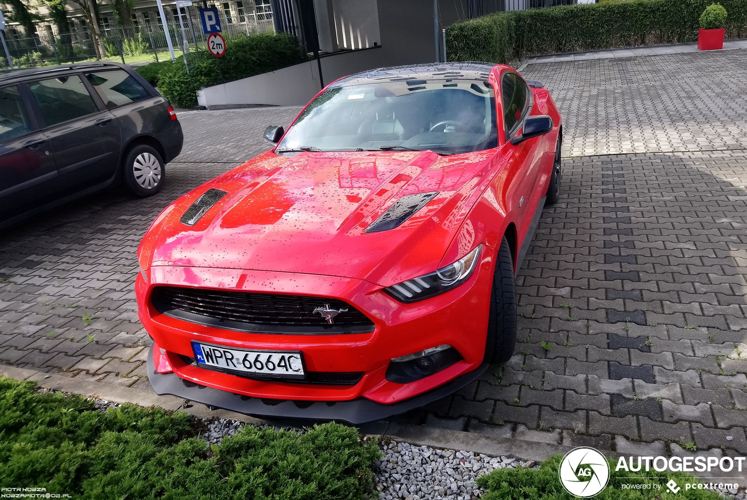 Ford Mustang GT California Special 2016