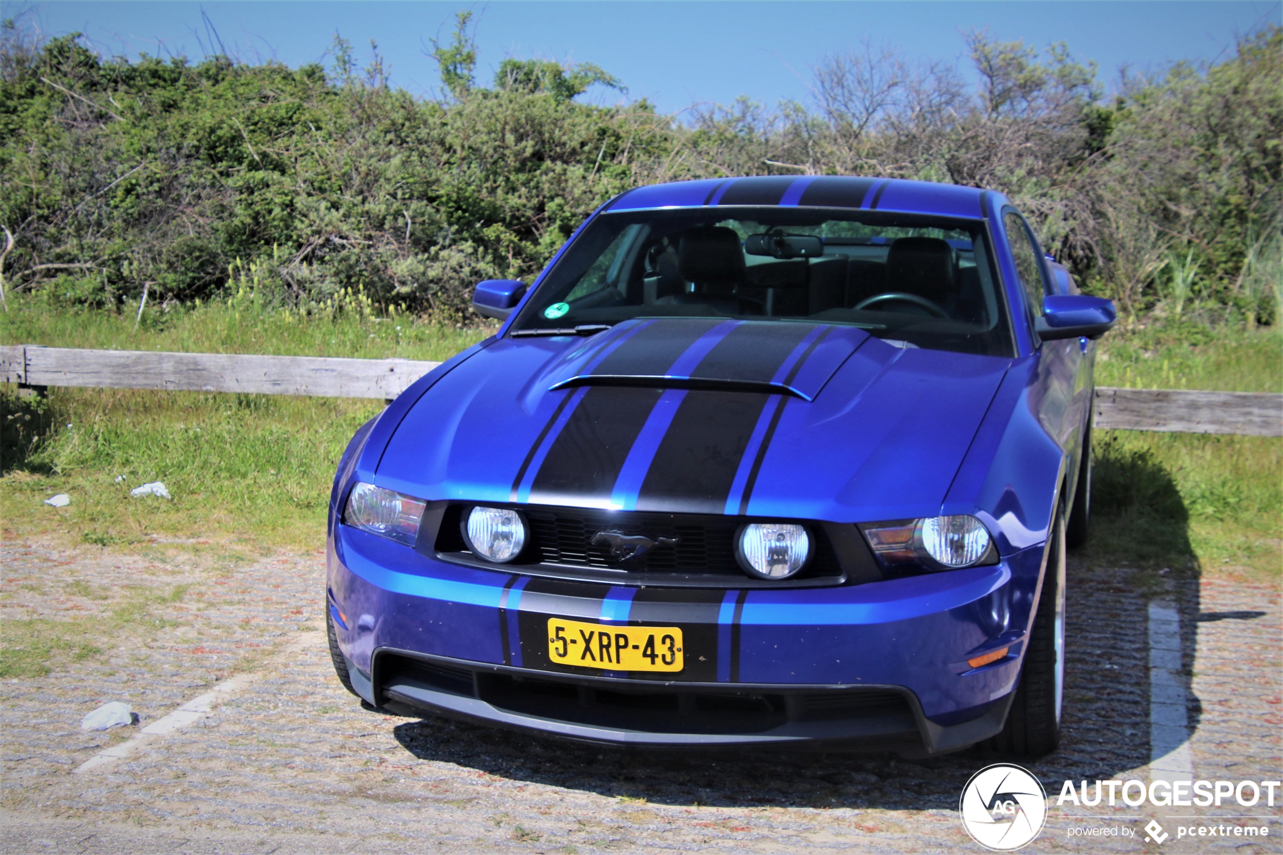 Ford Mustang GT 2010