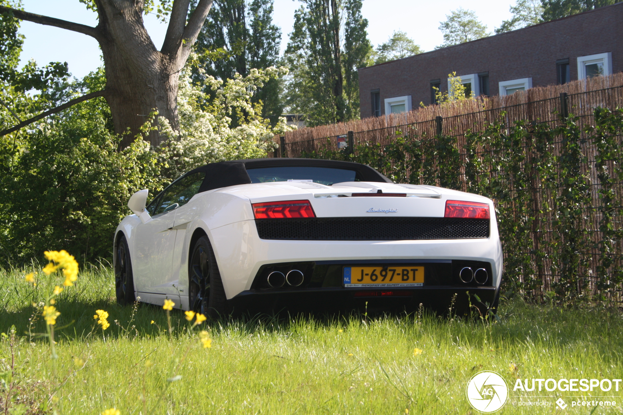 Lamborghini Gallardo LP560-4 Spyder