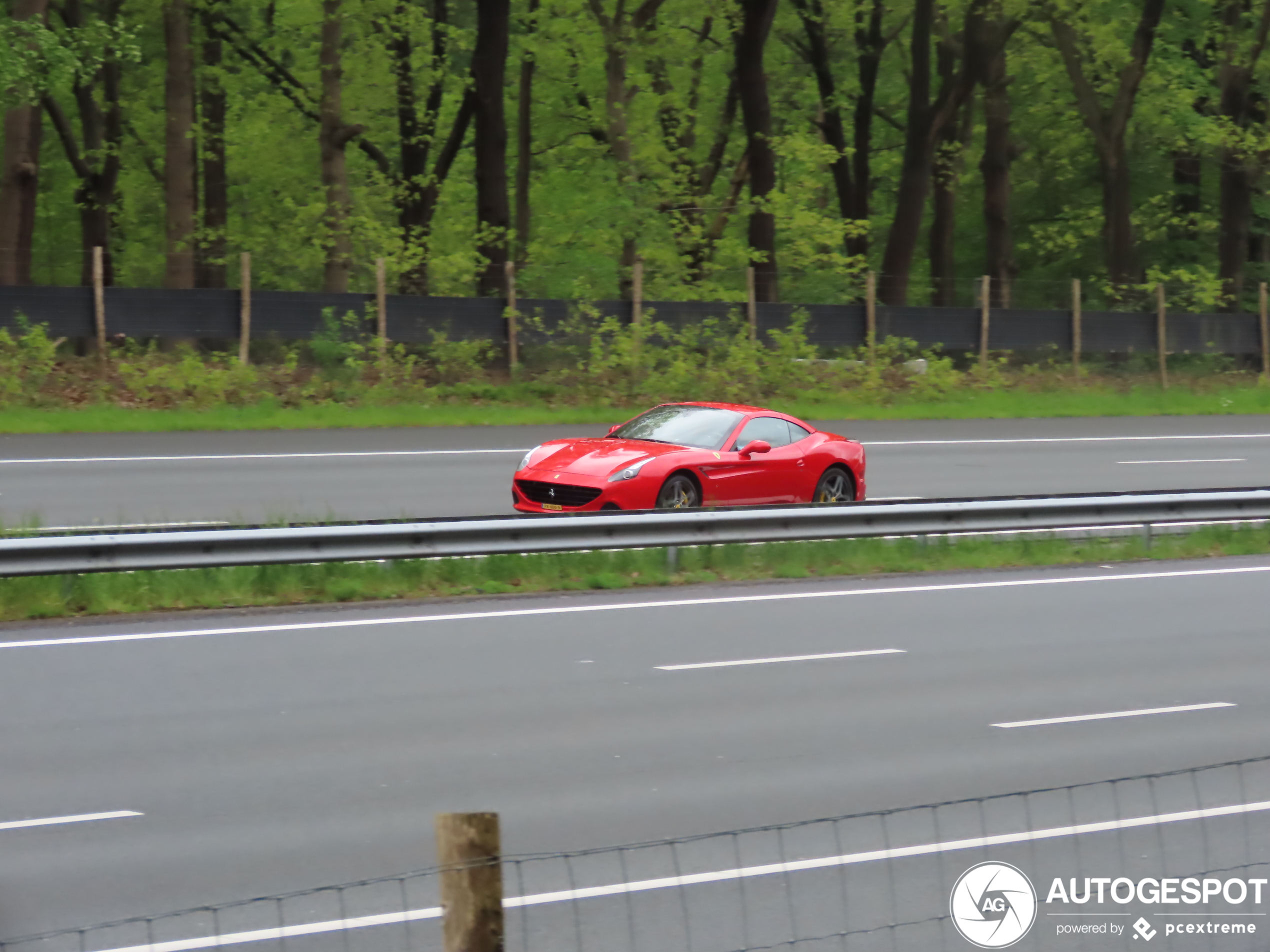 Ferrari California T