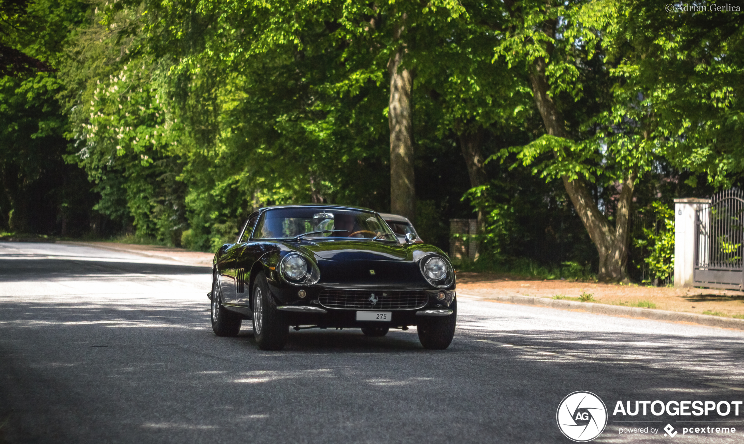 Ferrari 275 GTB