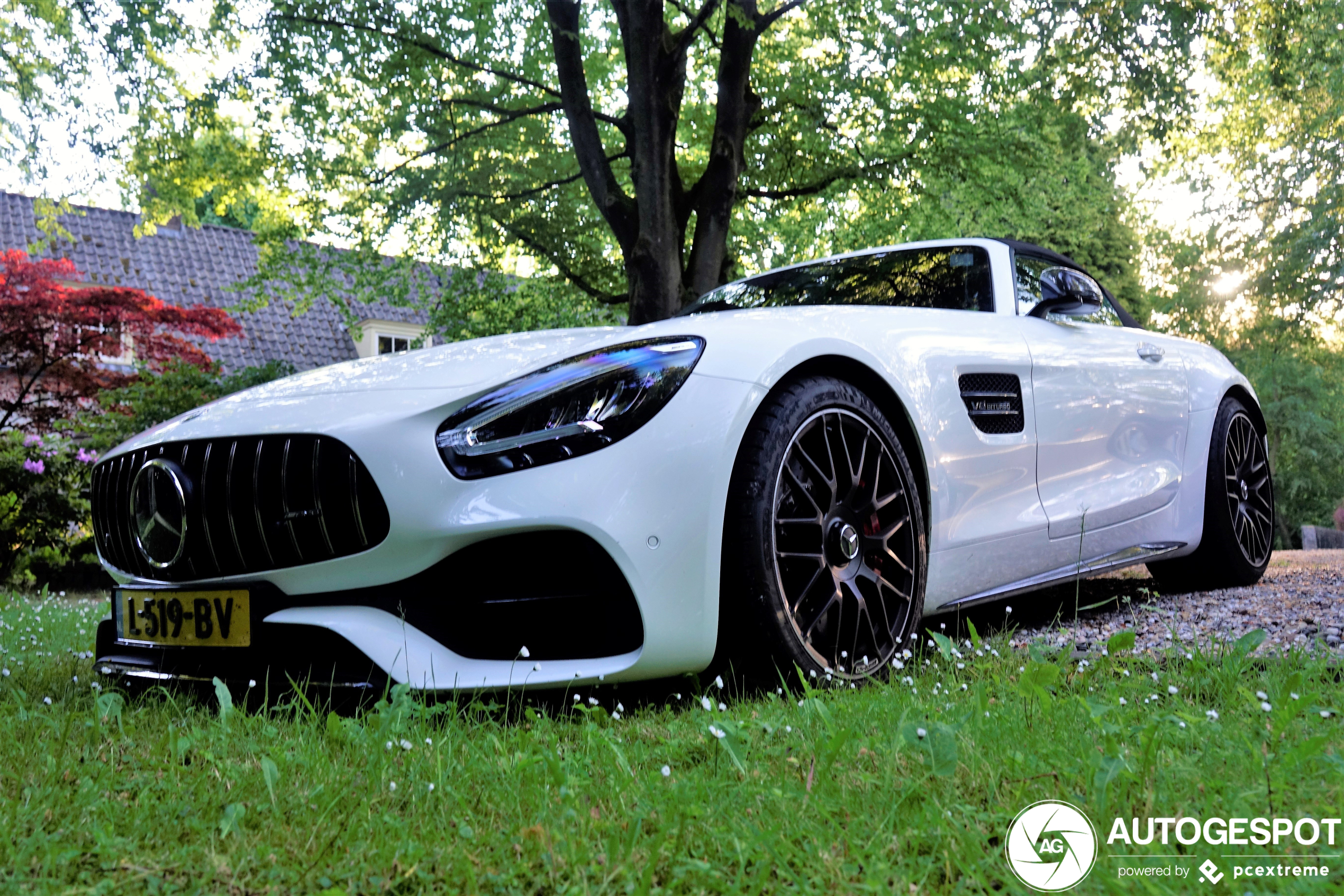 Mercedes-AMG GT C Roadster R190 2019