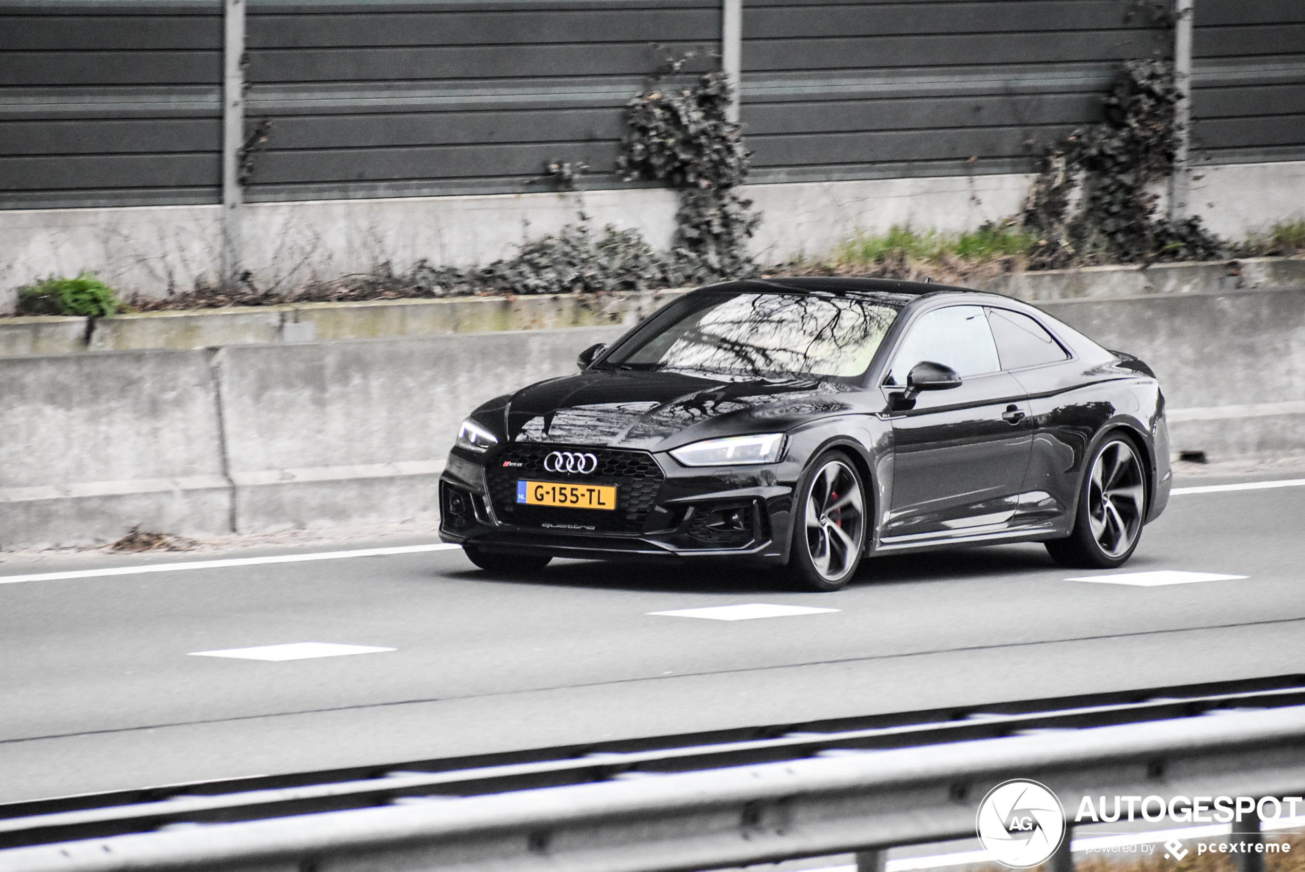 Audi RS5 B9