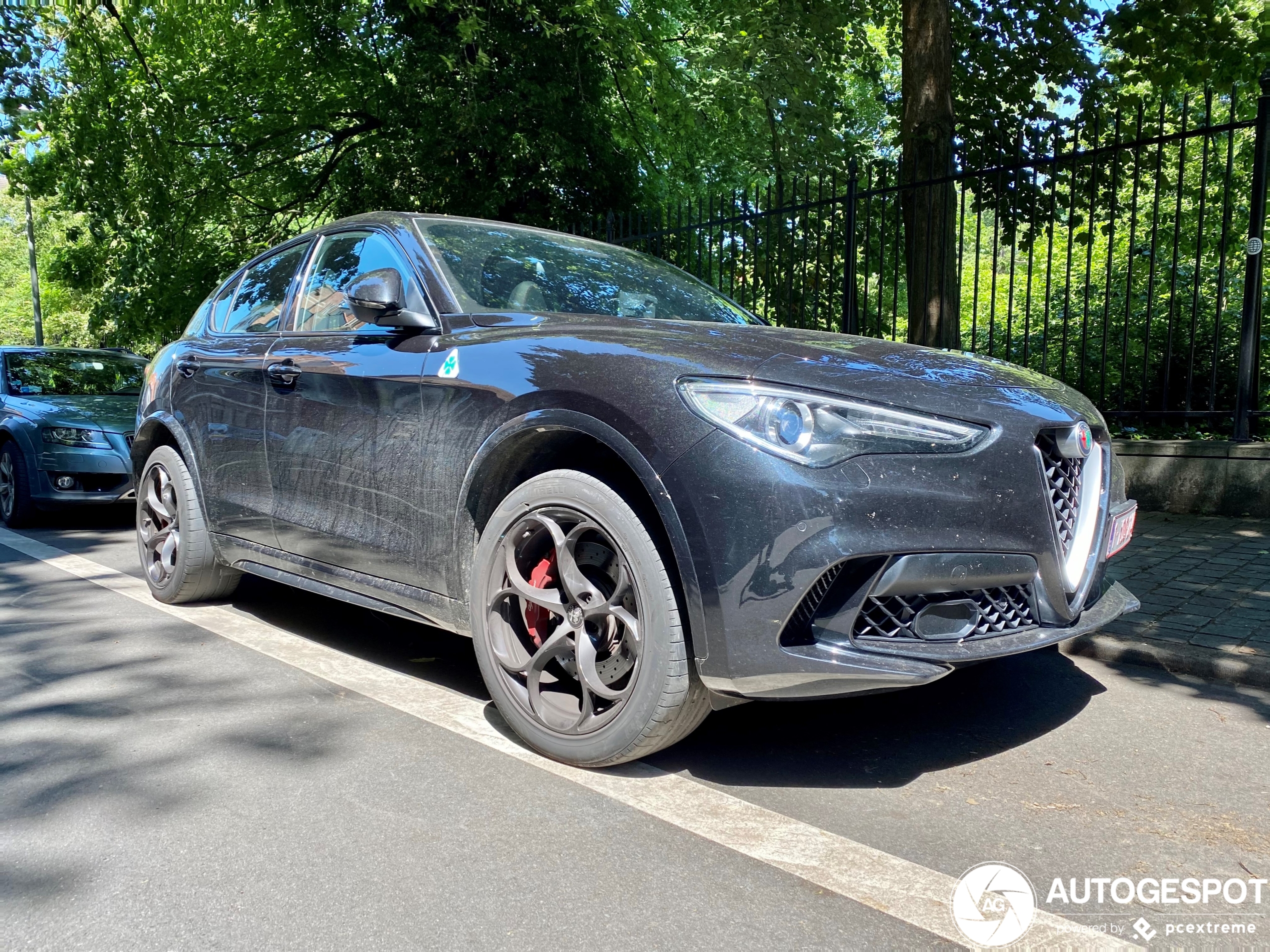 Alfa Romeo Stelvio Quadrifoglio