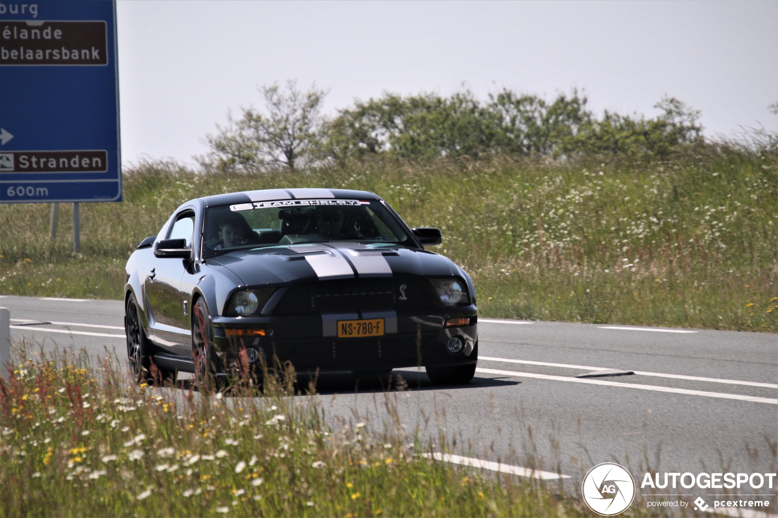 Ford Mustang Shelby GT500