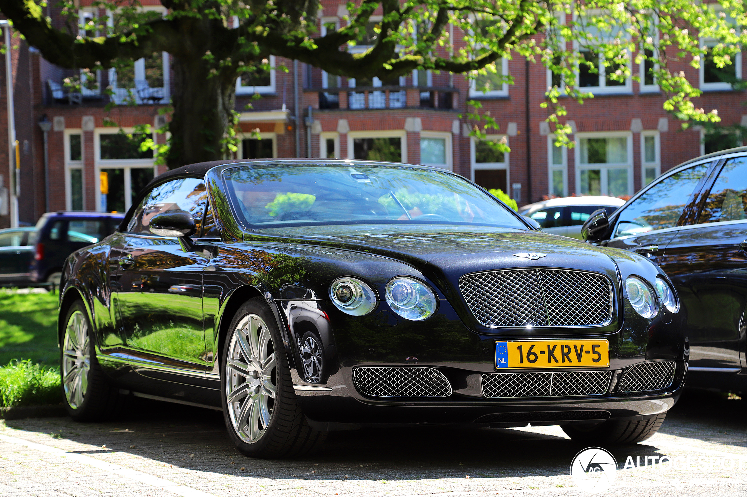 Bentley Continental GTC