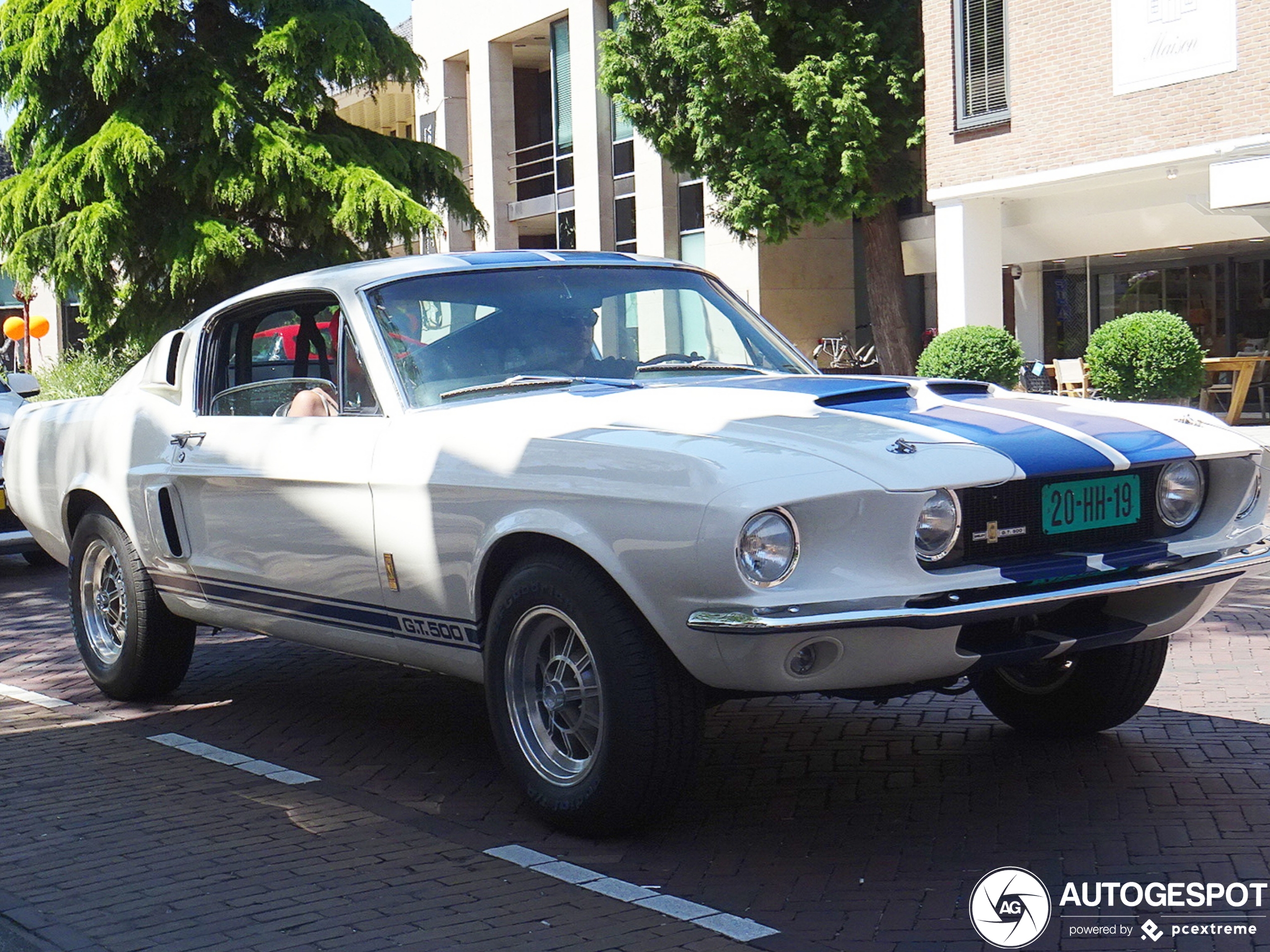 Ford Mustang Shelby G.T. 500