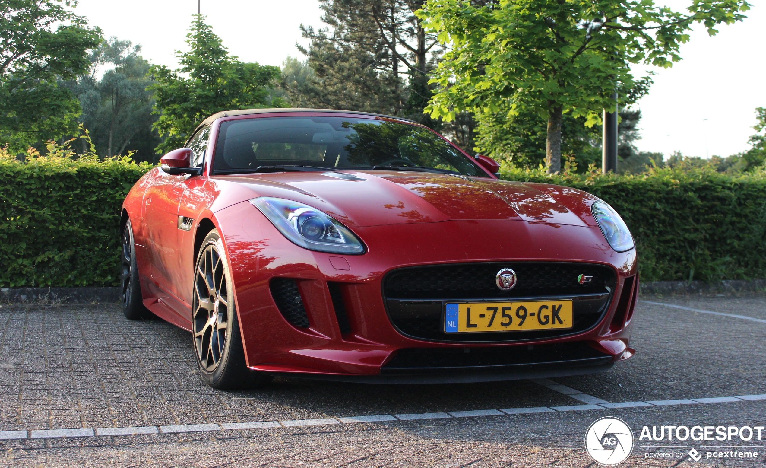 Jaguar F-TYPE S Convertible