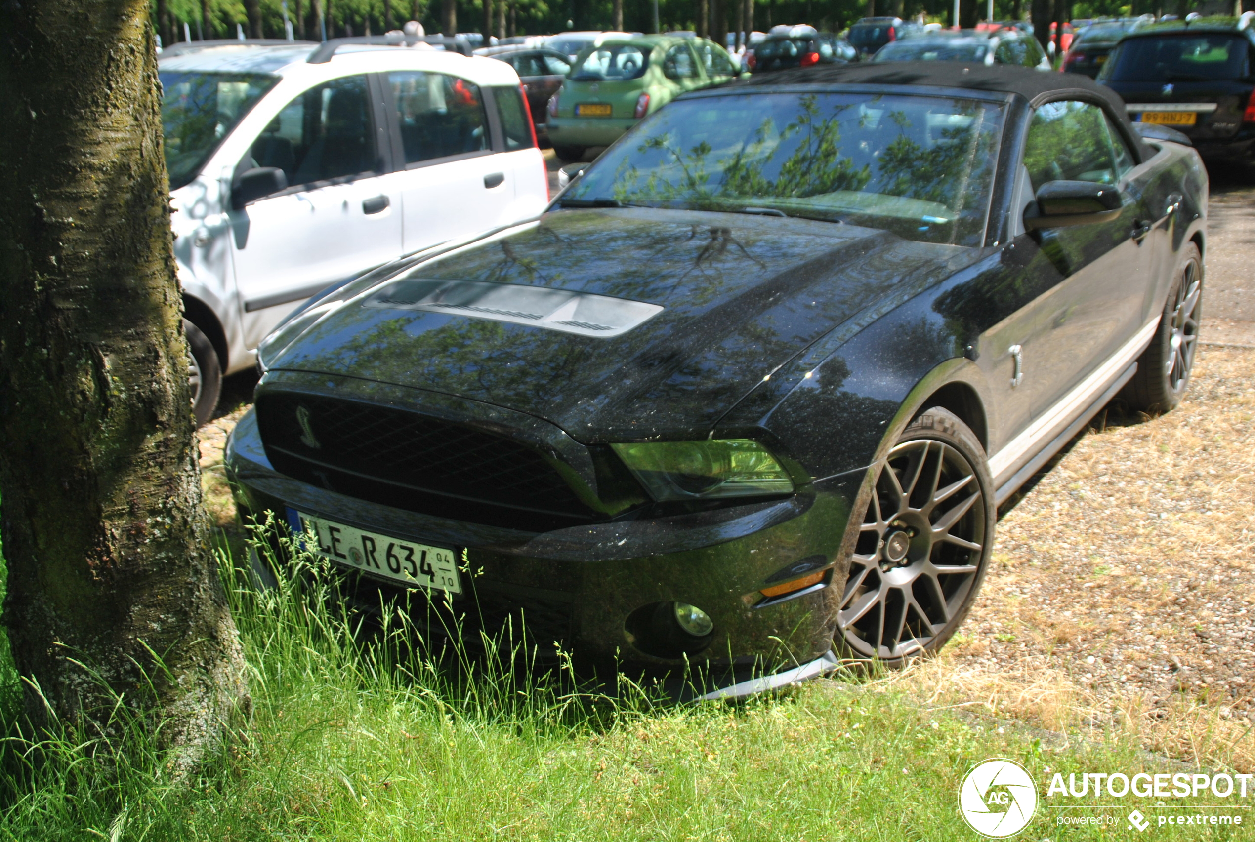 Ford Mustang Shelby GT500 Convertible 2010