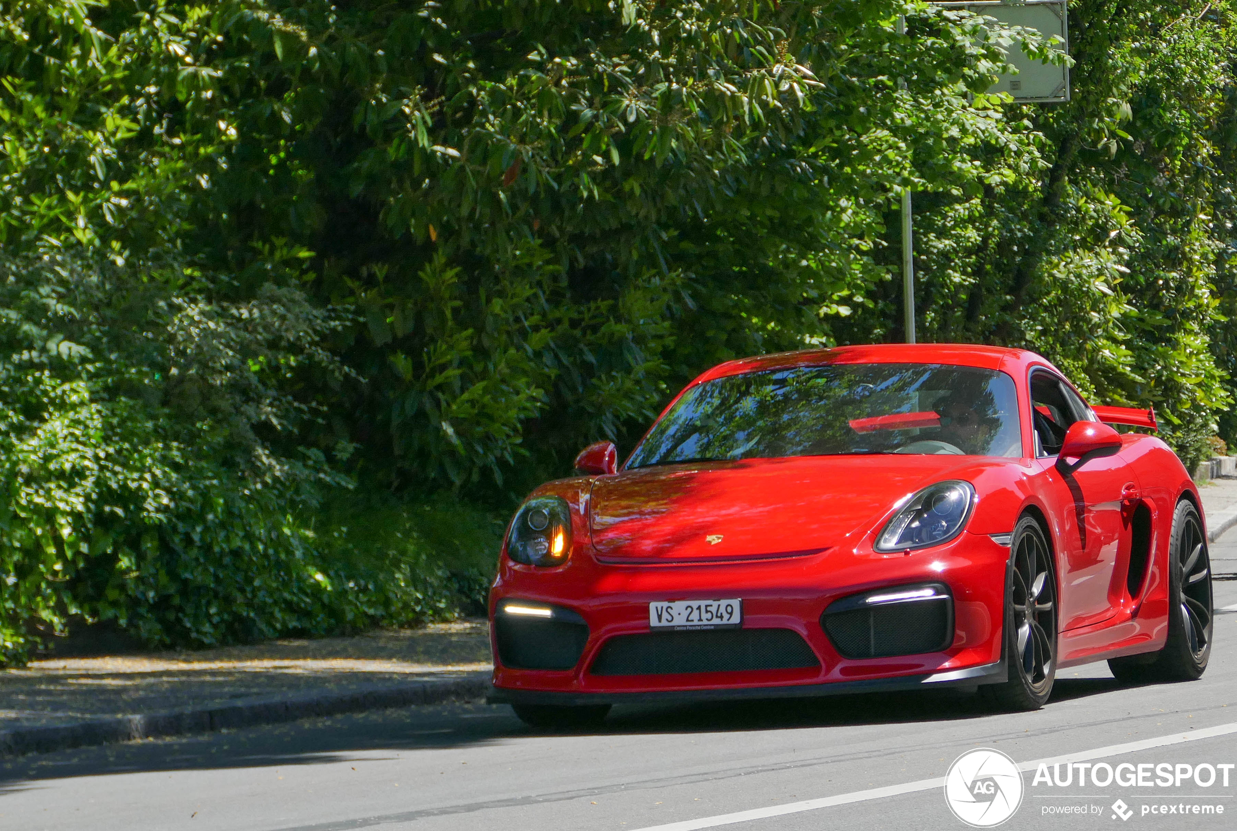 Porsche 981 Cayman GT4