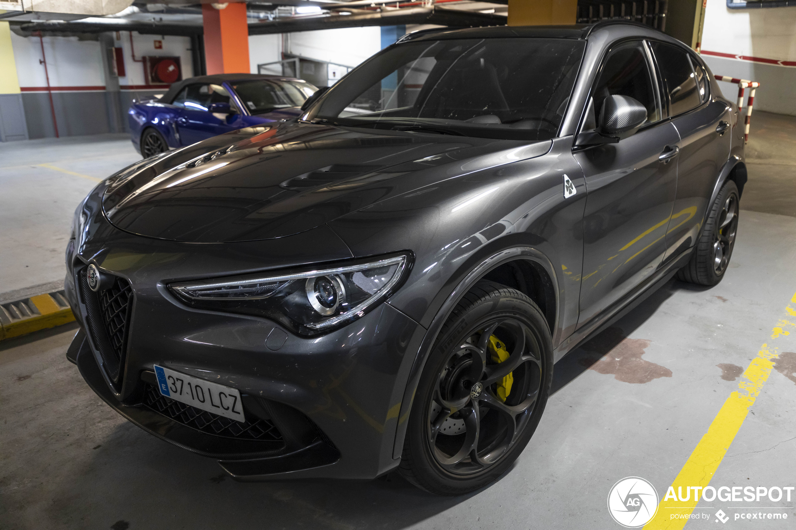 Alfa Romeo Stelvio Quadrifoglio