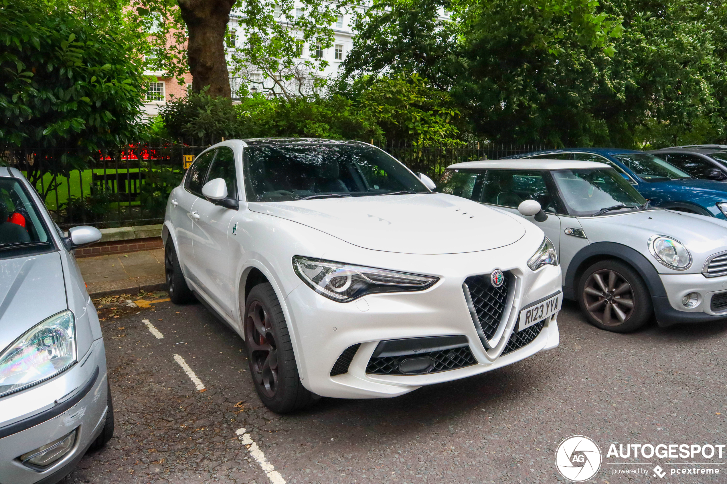 Alfa Romeo Stelvio Quadrifoglio