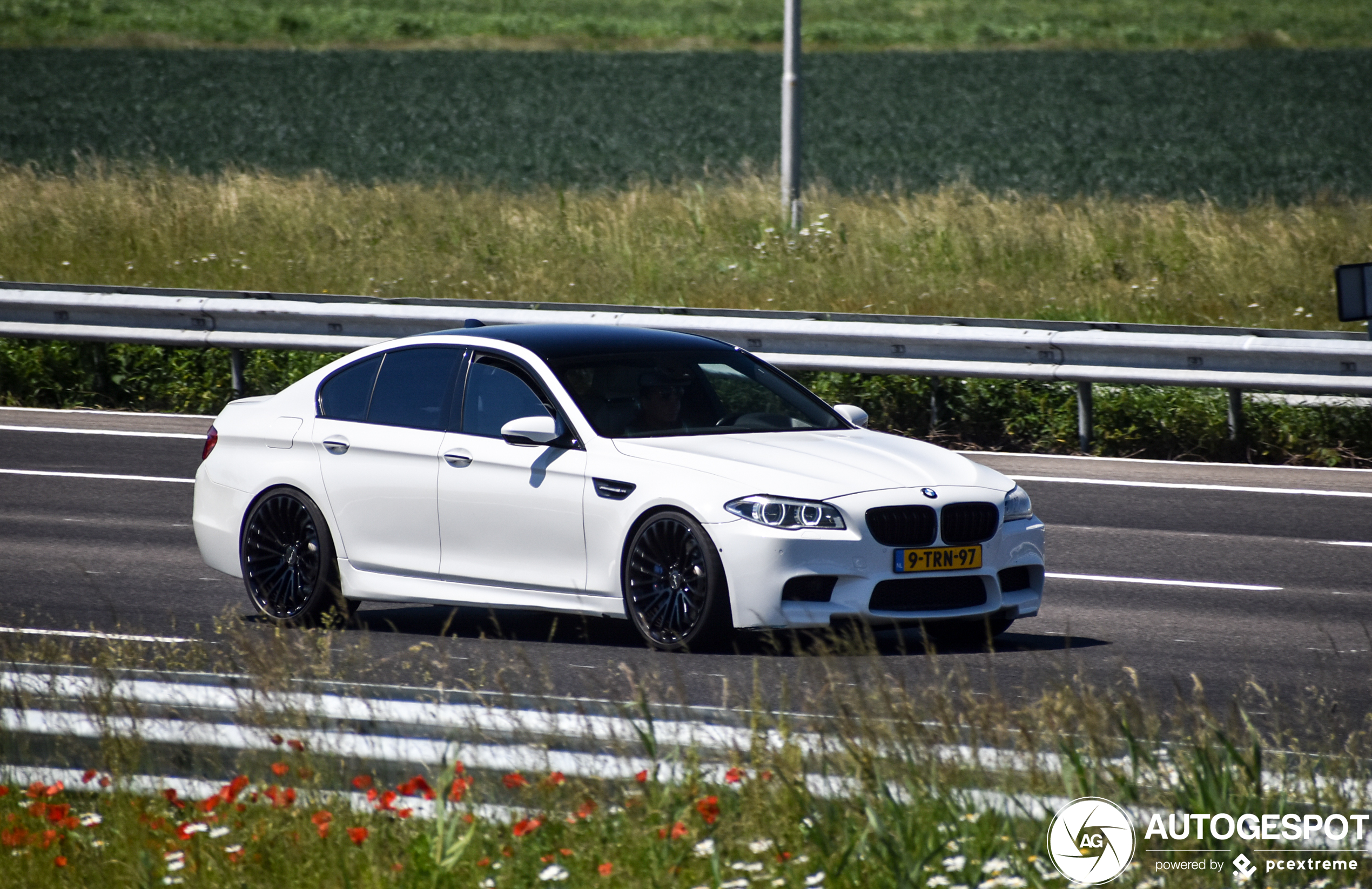 BMW M5 F10 2011