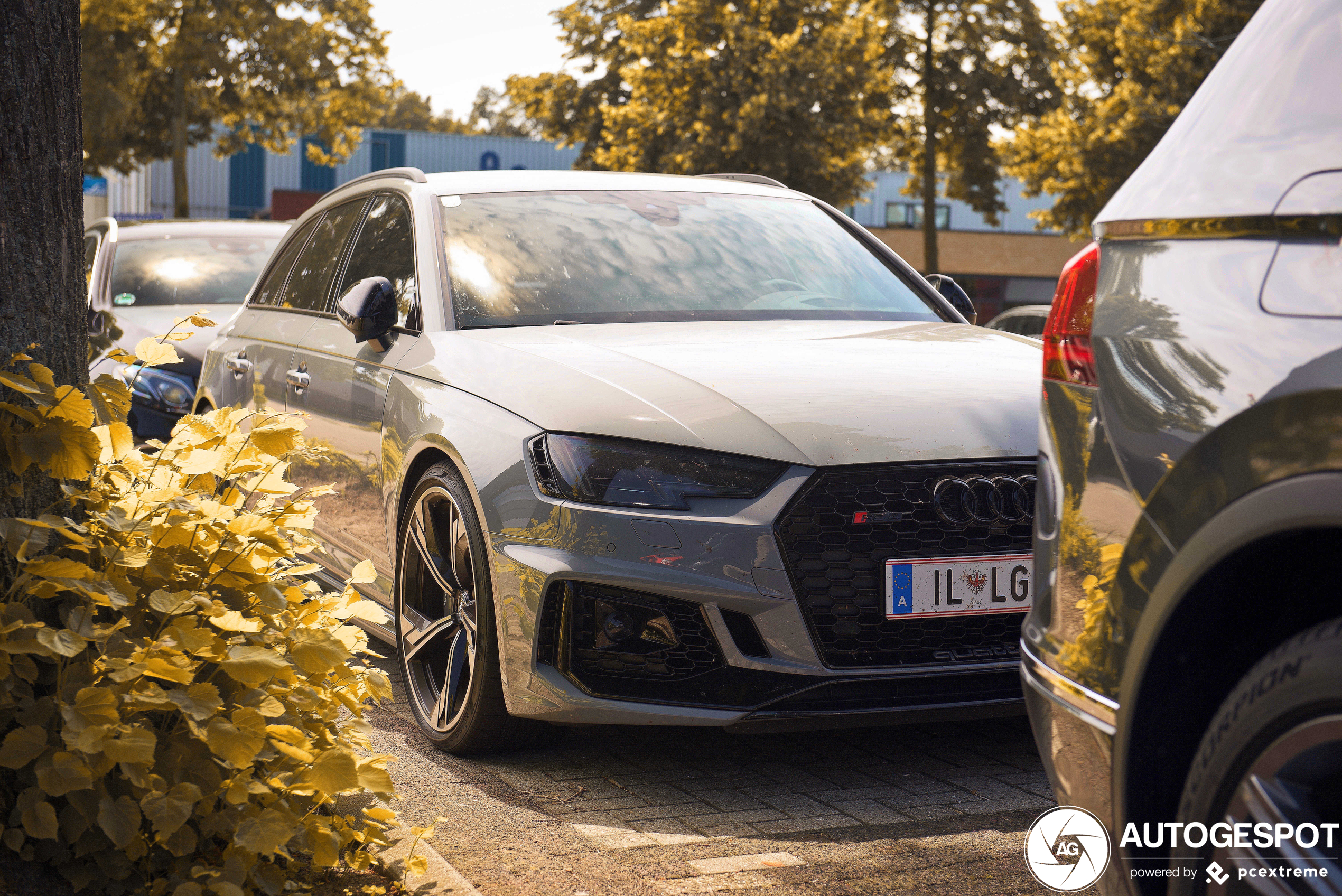 Audi RS4 Avant B9