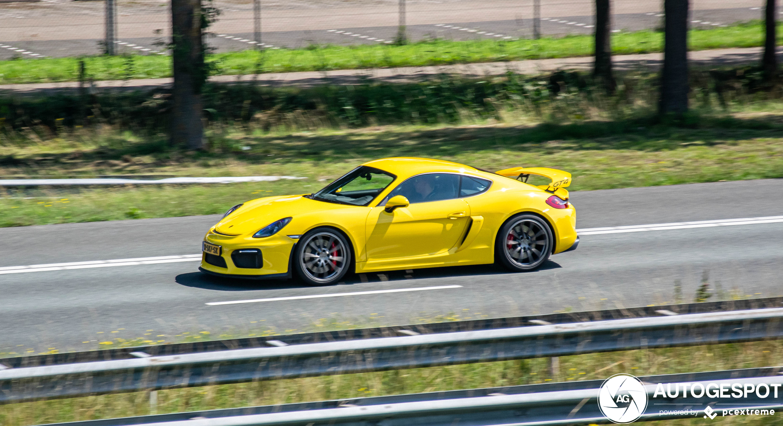 Porsche 981 Cayman GT4