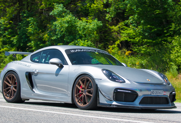 Porsche 981 Cayman GT4