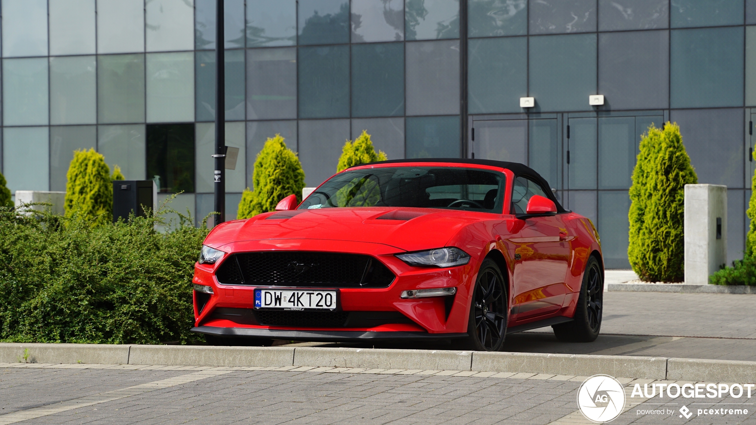 Ford Mustang55 Convertible 2020