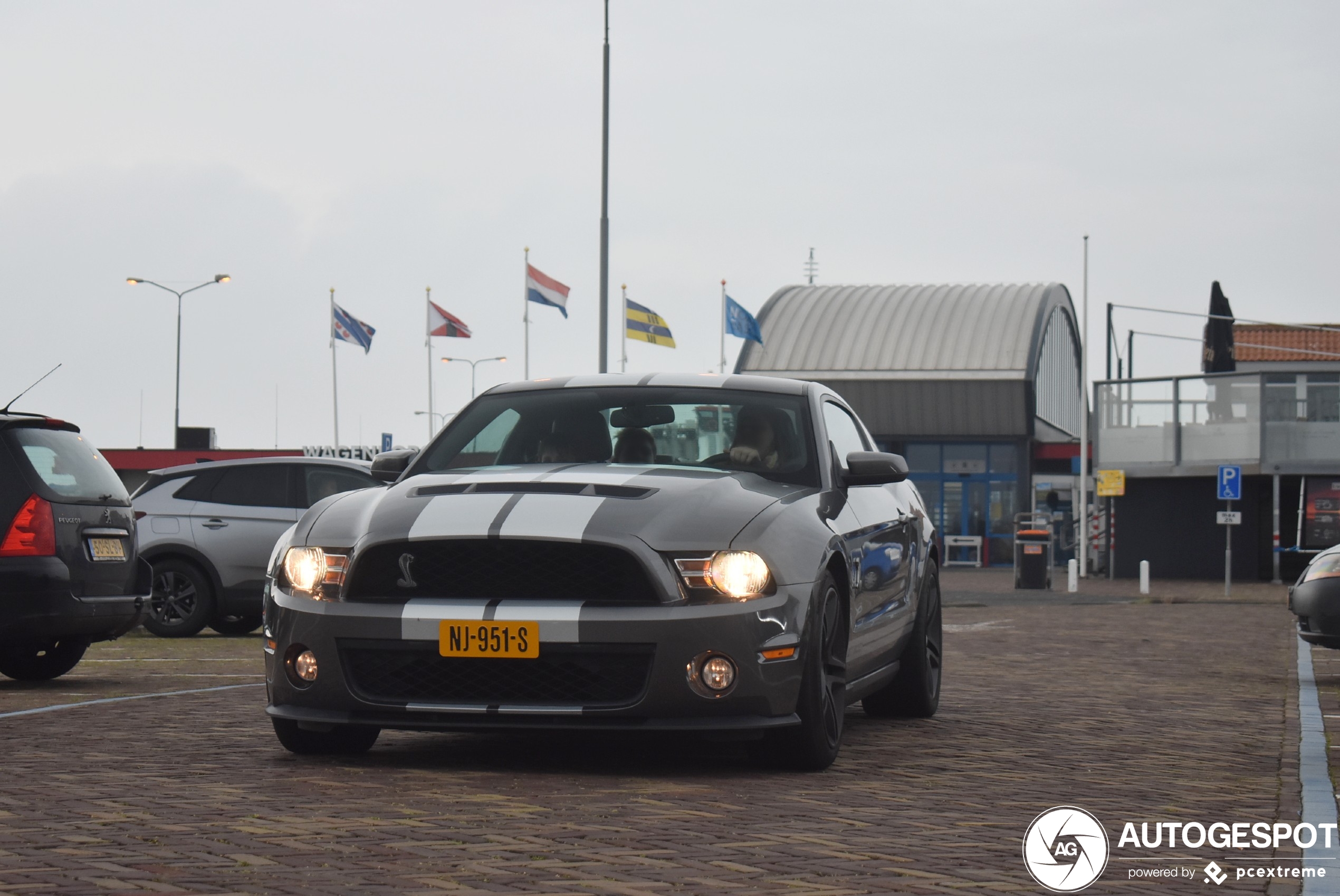 Ford Mustang Shelby GT500 2010