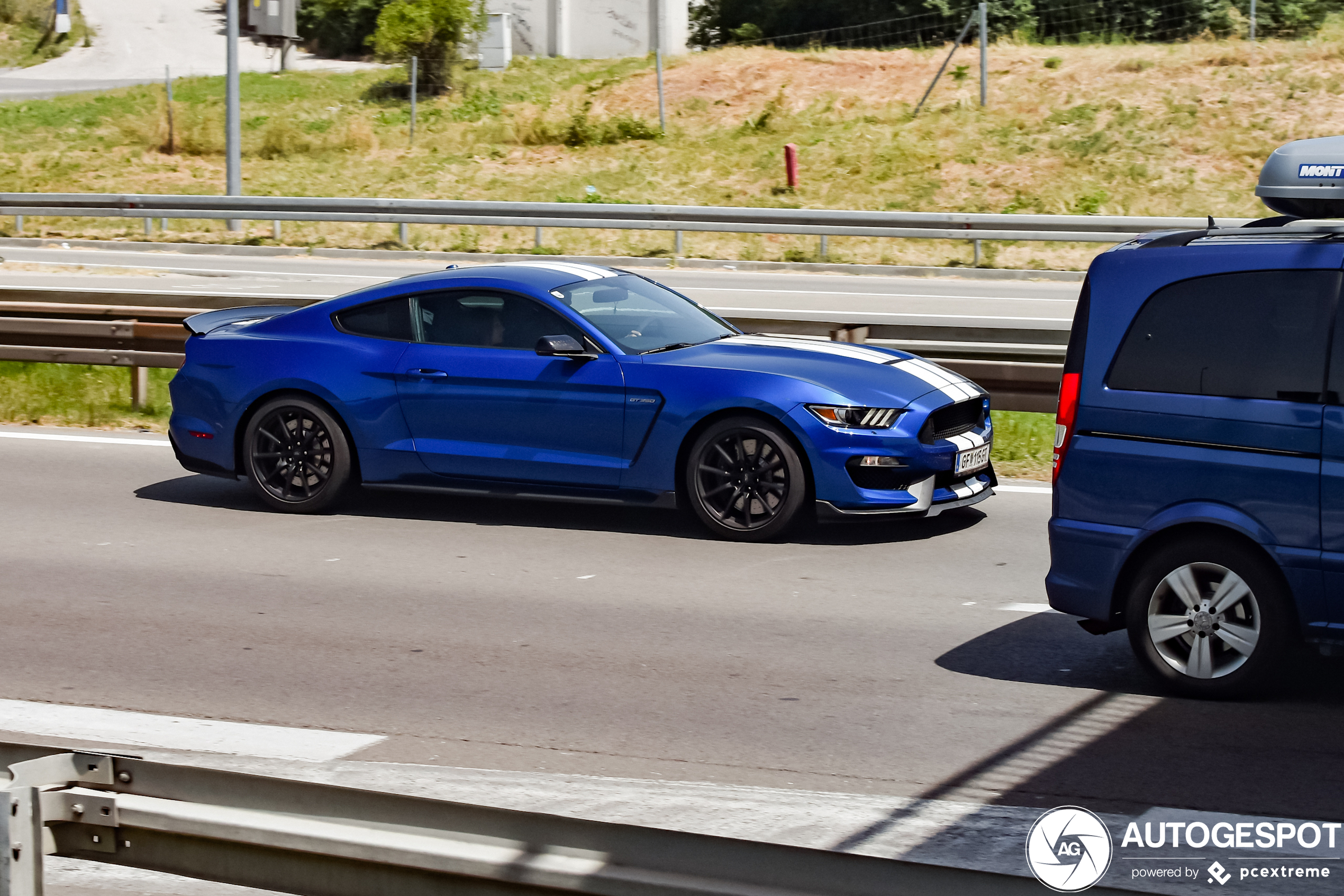 Ford Mustang Shelby GT350 2015