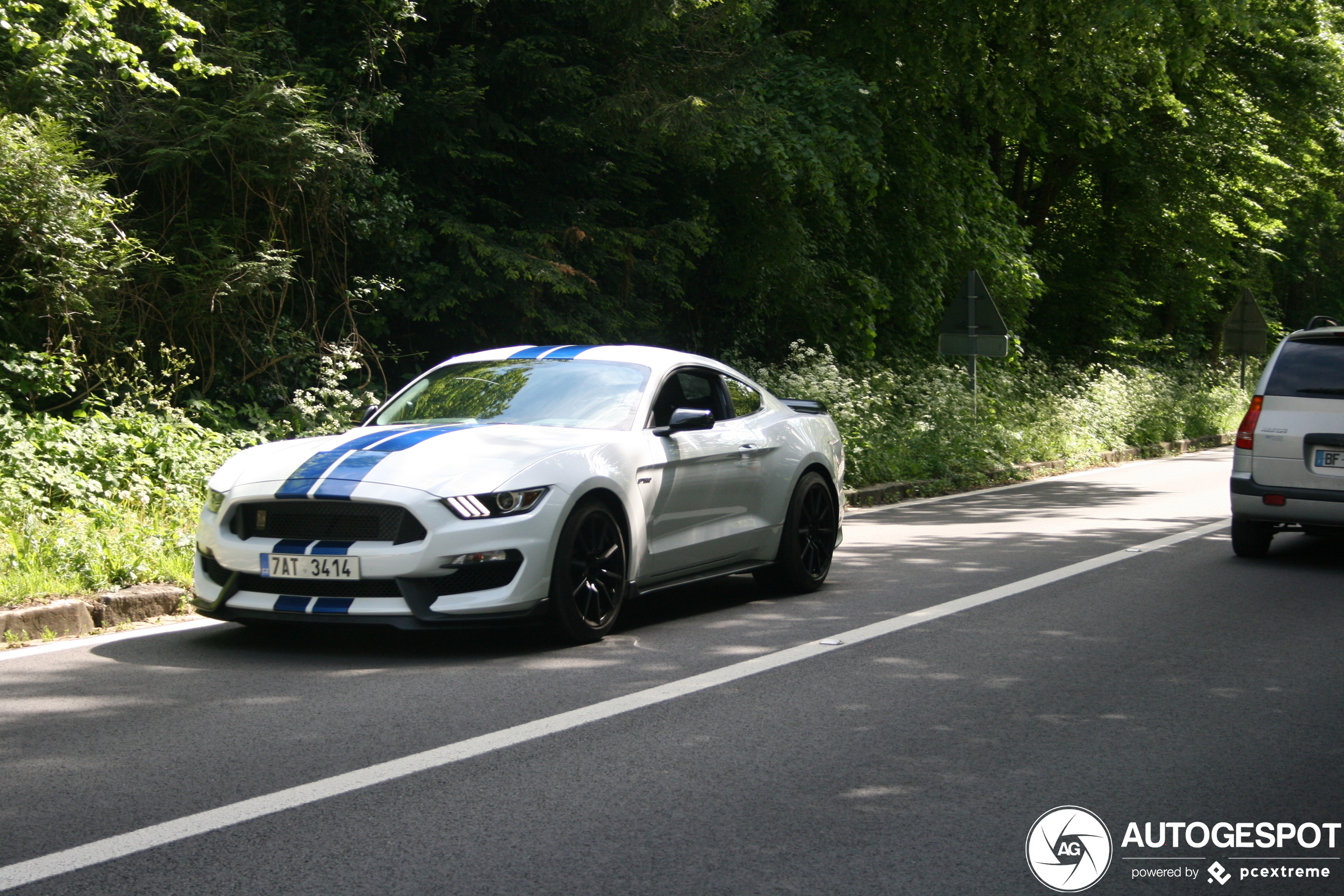 Ford Mustang Shelby GT350 2015