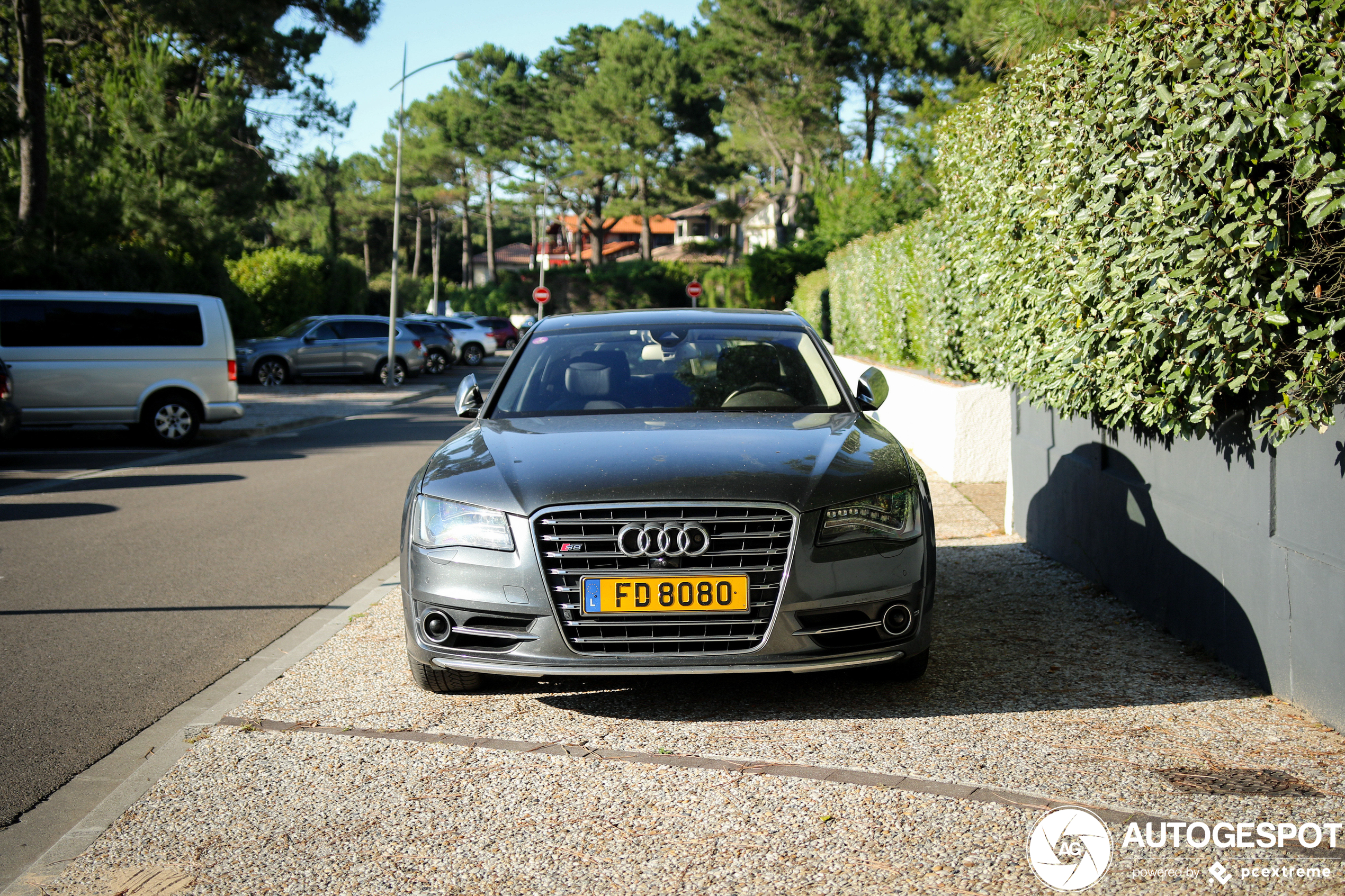 Audi S8 D4