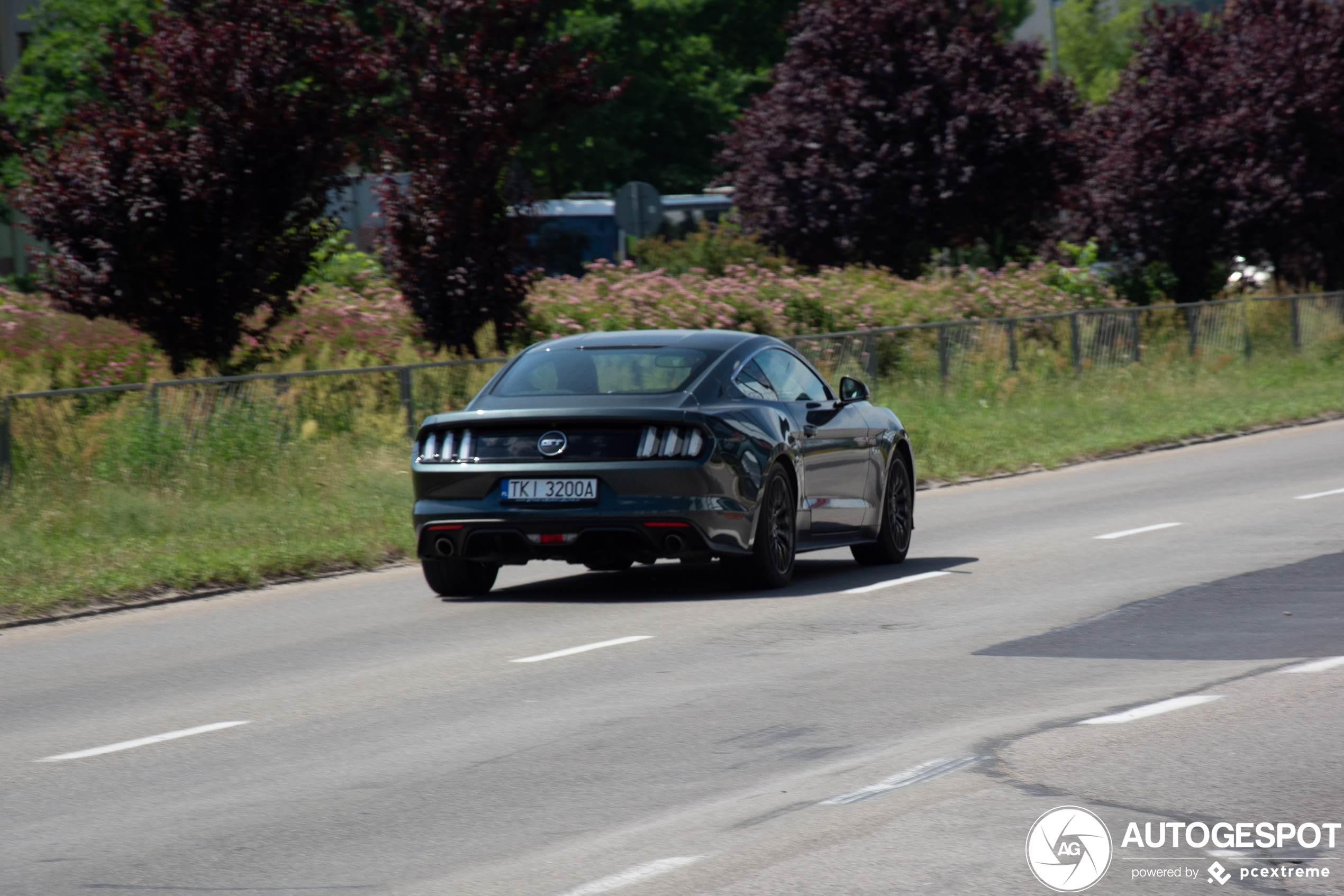 Ford Mustang GT 2015