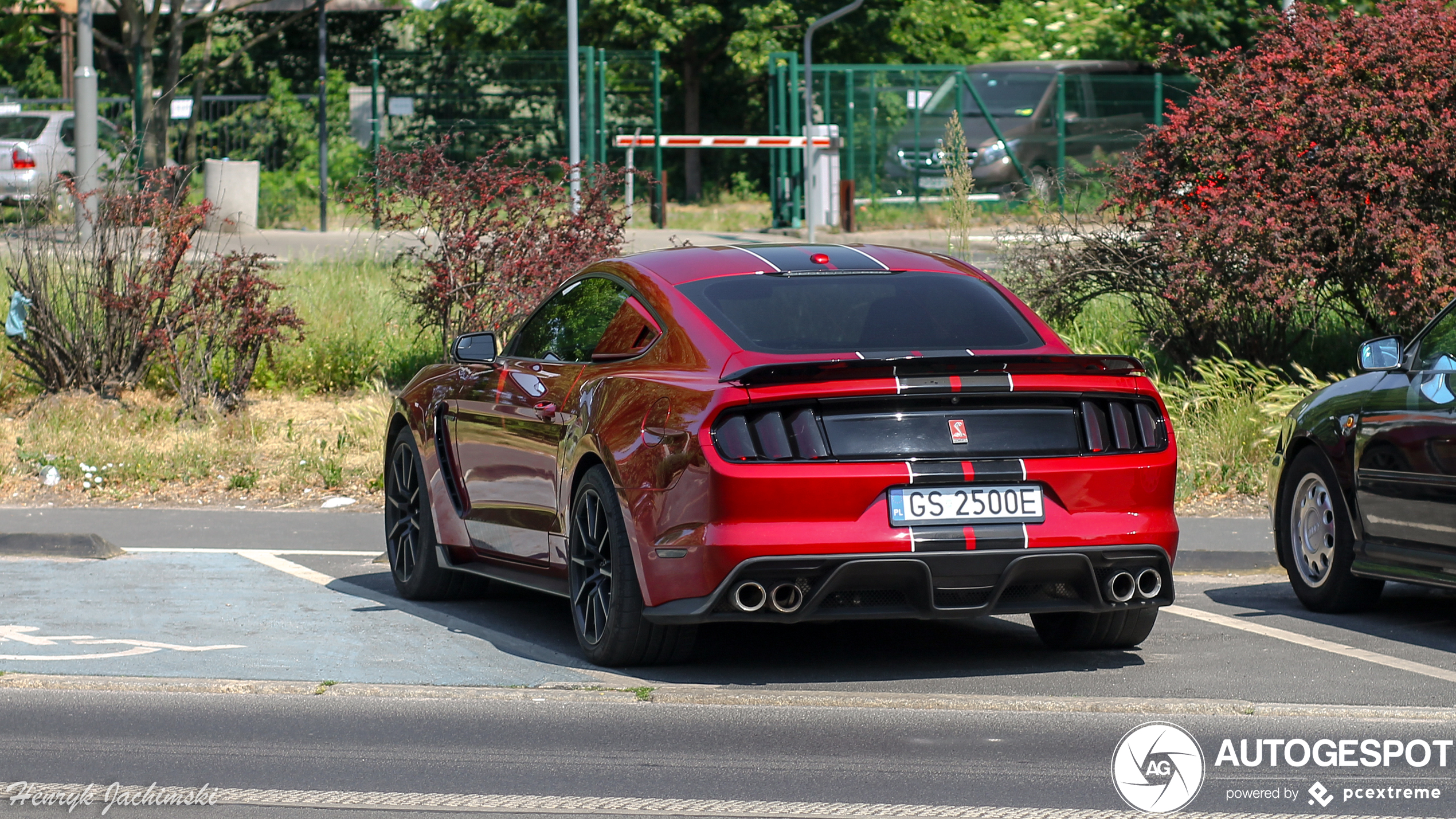 Ford Mustang Shelby GT350 2015