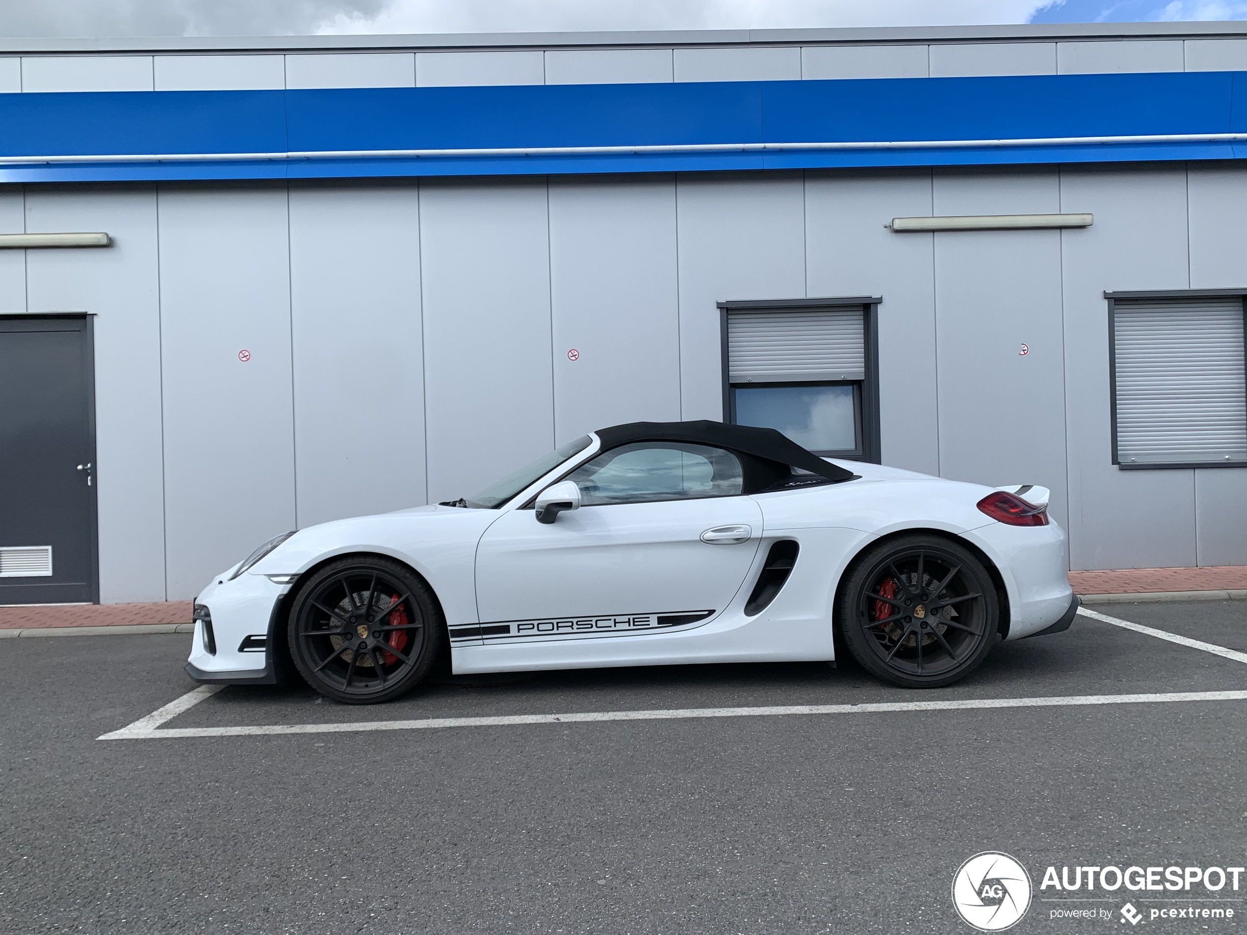 Porsche 981 Boxster Spyder