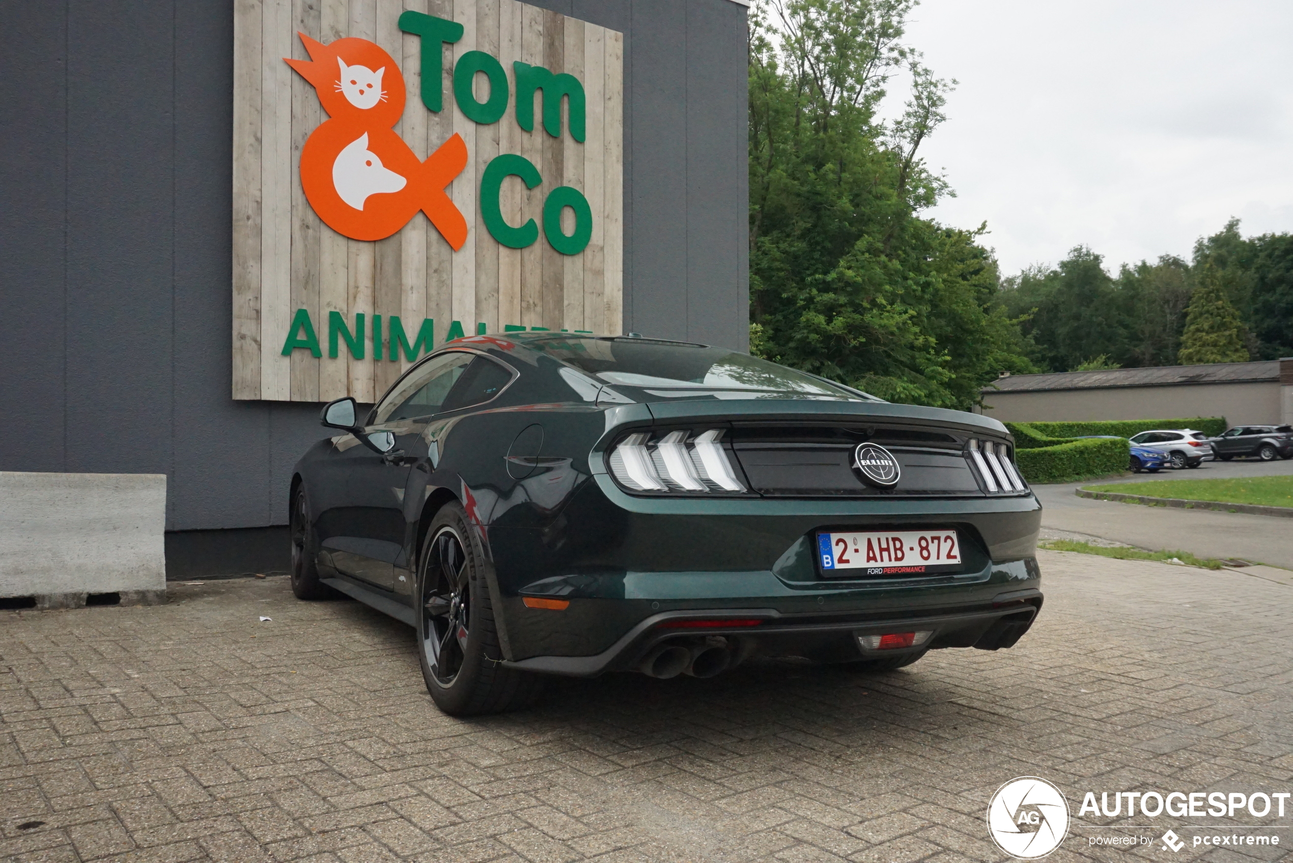 Ford Mustang Bullitt 2019