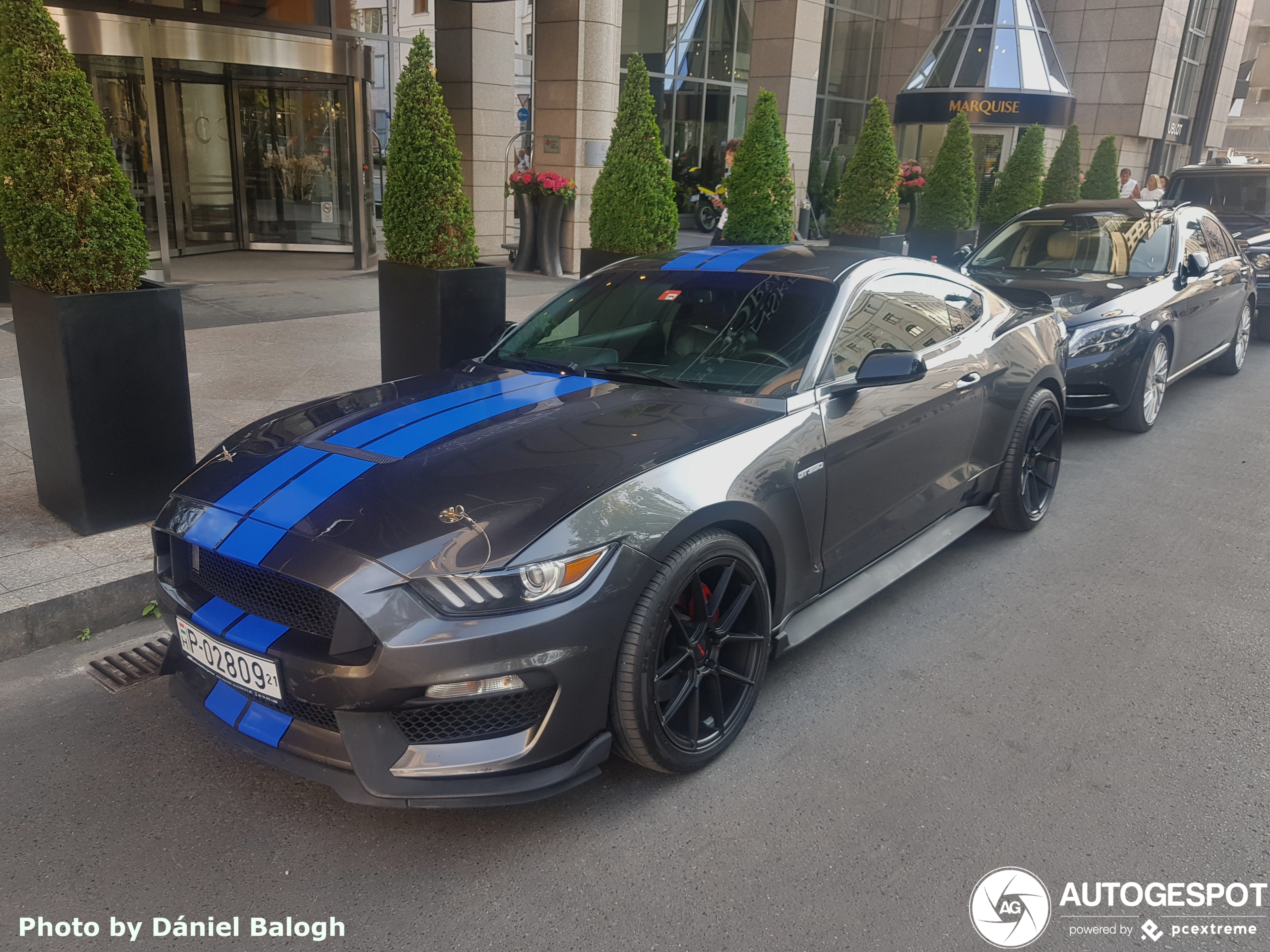 Ford Mustang Shelby GT350 2015