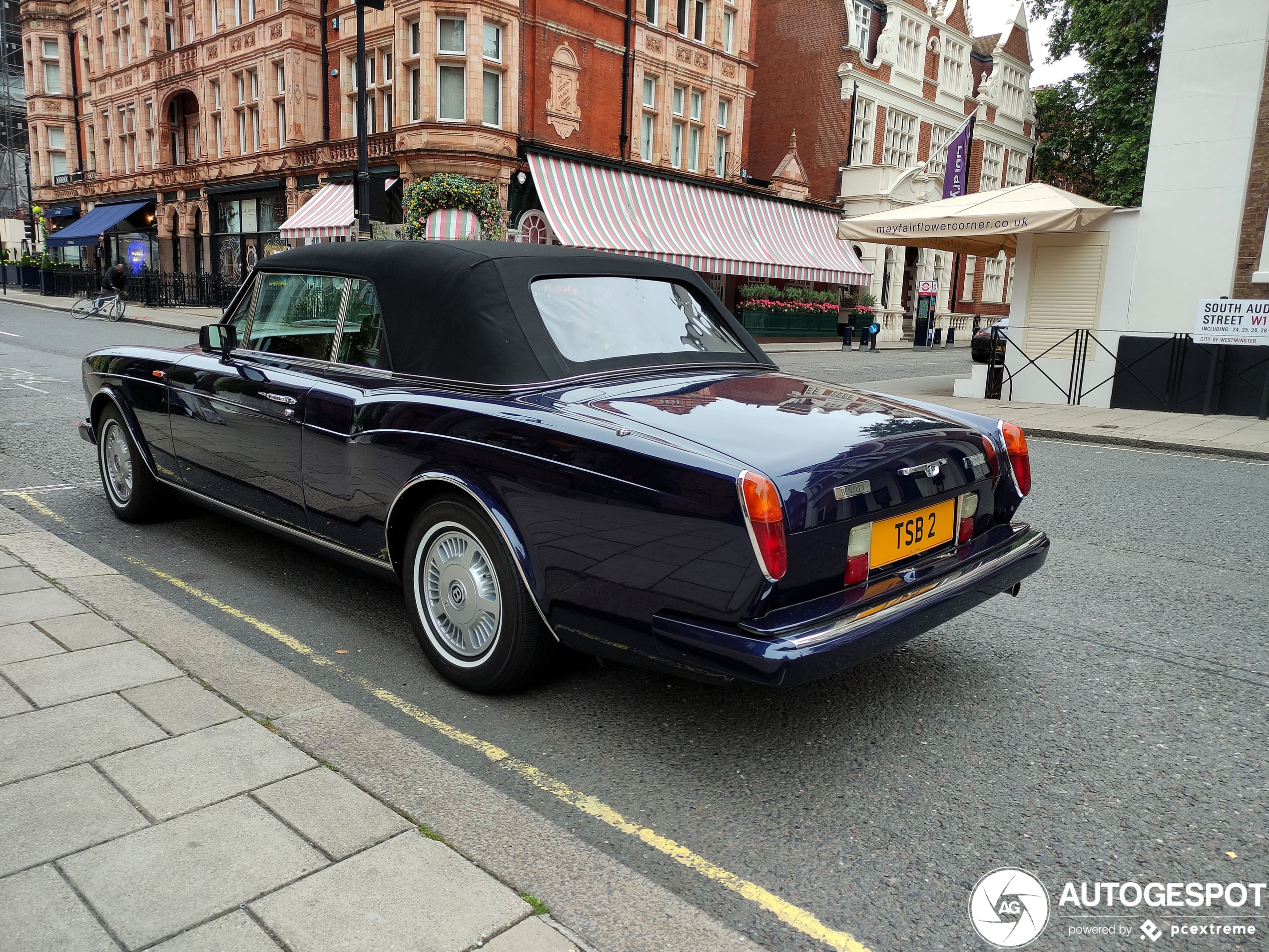 Bentley Continental Convertible