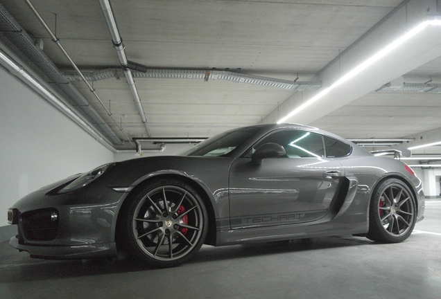 Porsche TechArt 981 Cayman S