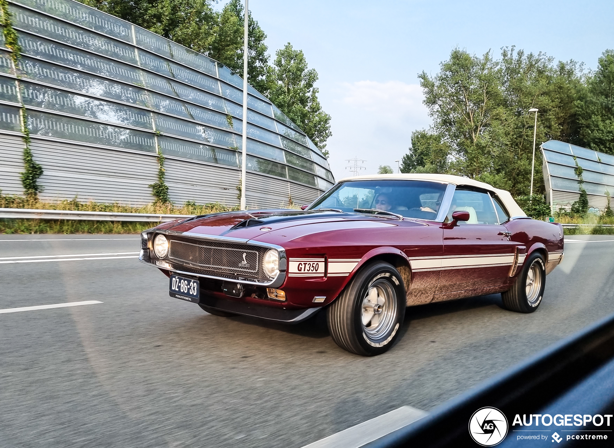 Ford Mustang Shelby G.T. 350 Convertible 1969