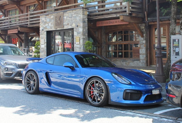 Porsche 981 Cayman GT4