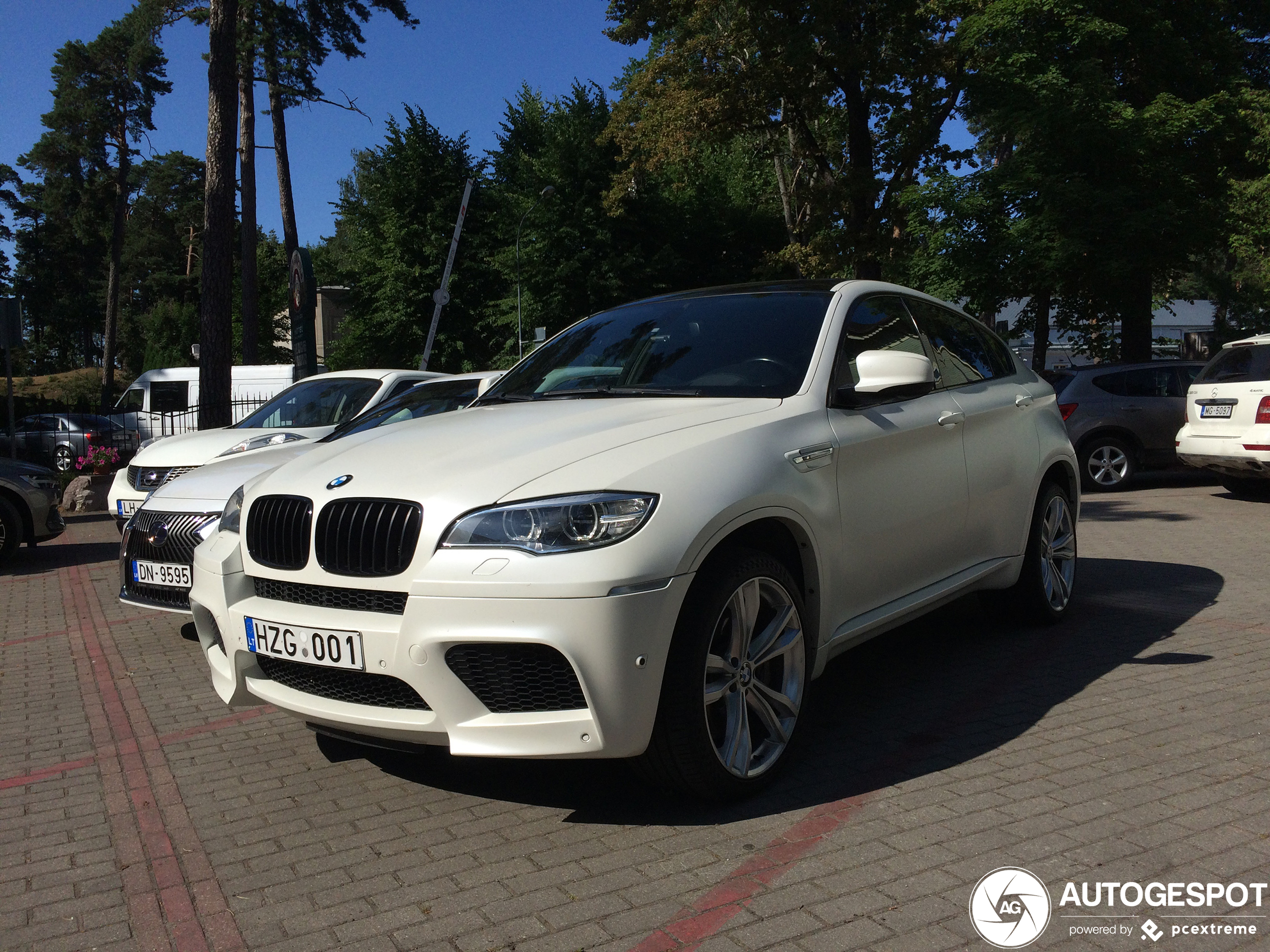 BMW X6 M E71 2013