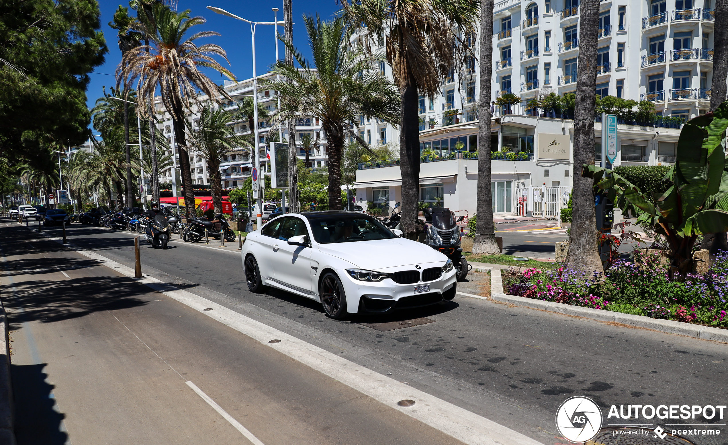 BMW M4 F82 Coupé