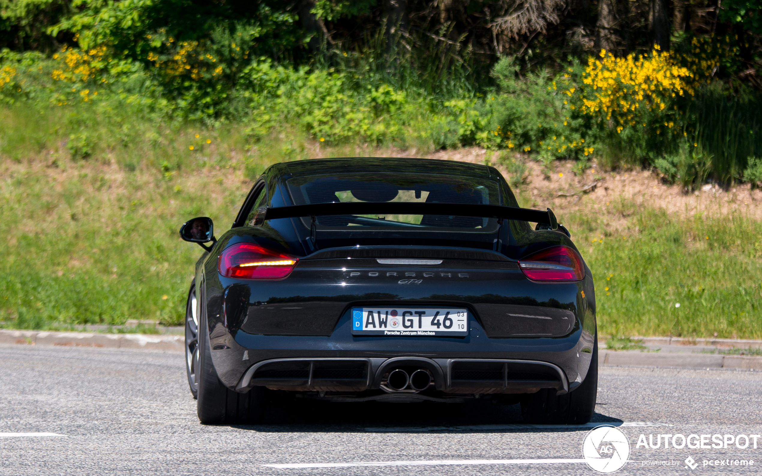 Porsche 981 Cayman GT4