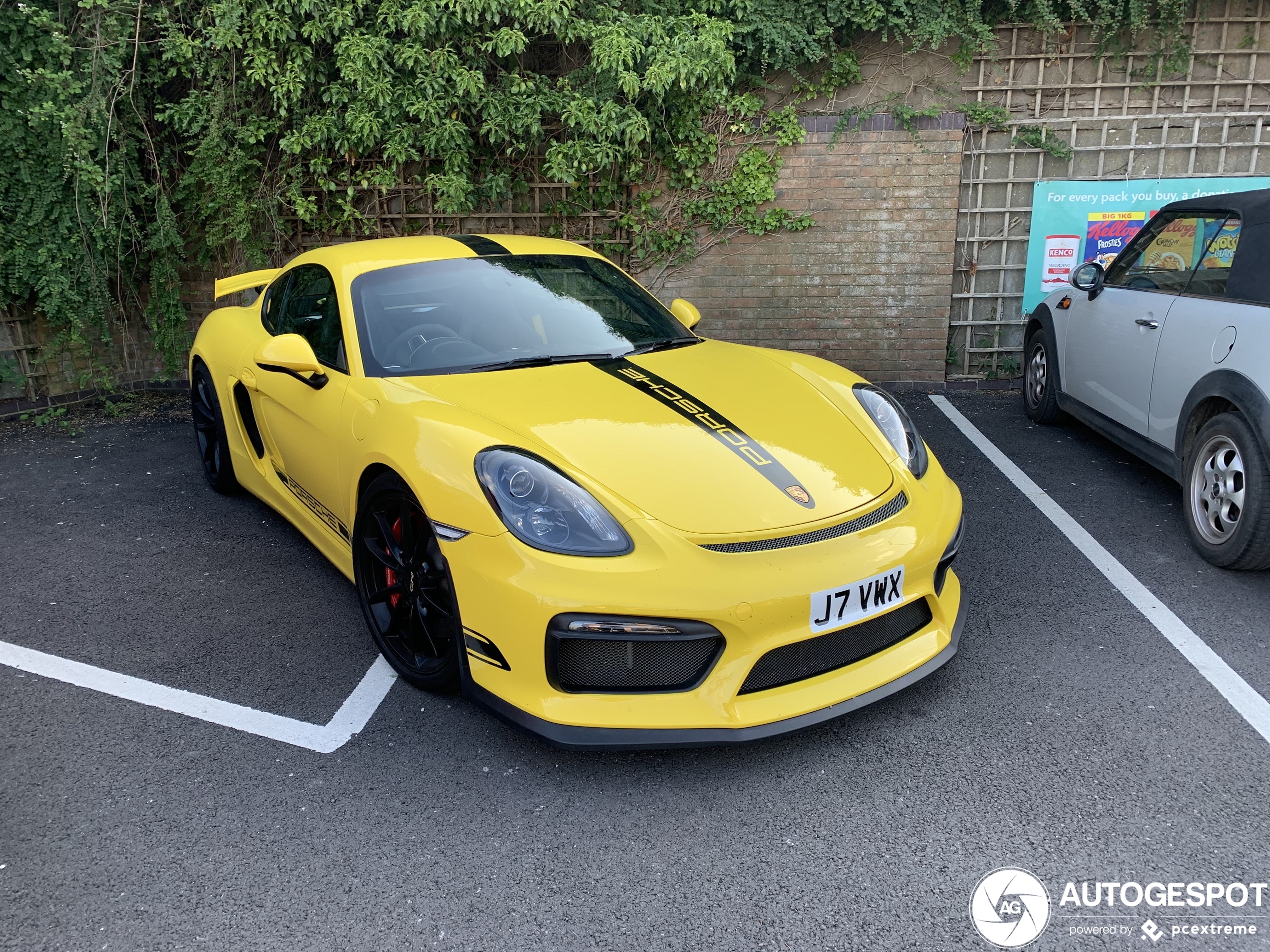 Porsche 981 Cayman GT4